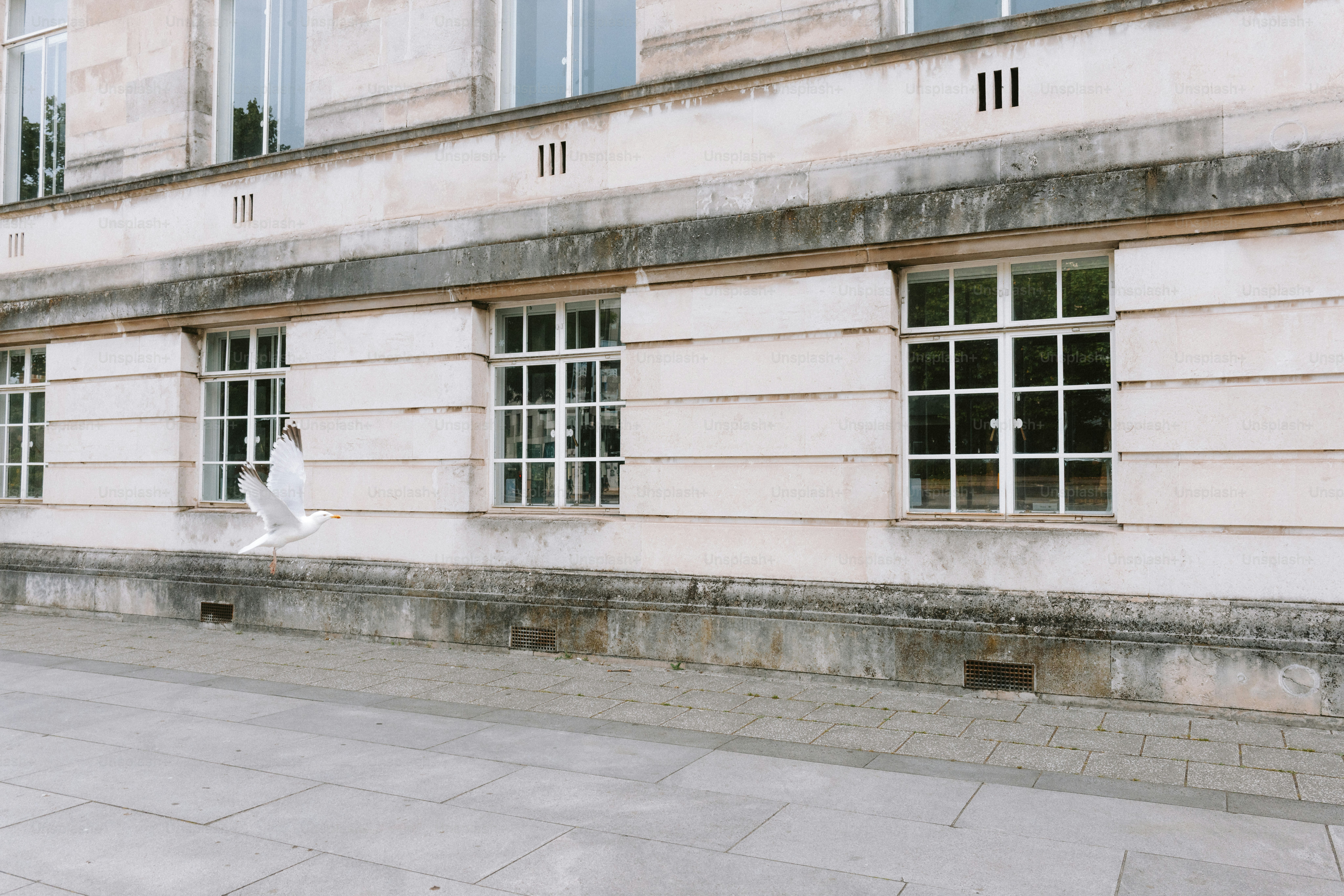 Fachada del edificio con ventanas en una toma exterior.