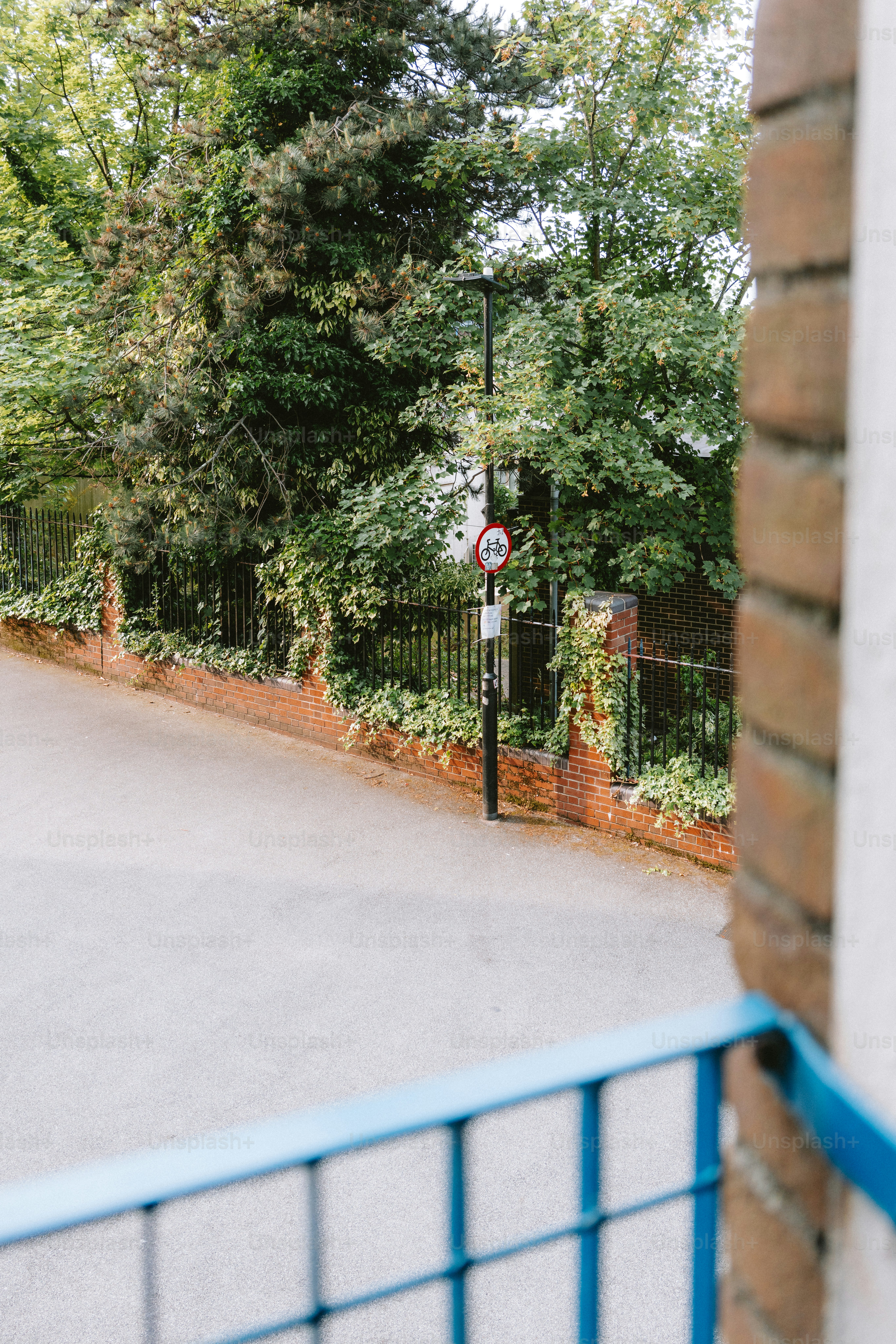 Un camino vacío bordeado por una valla y vegetación.