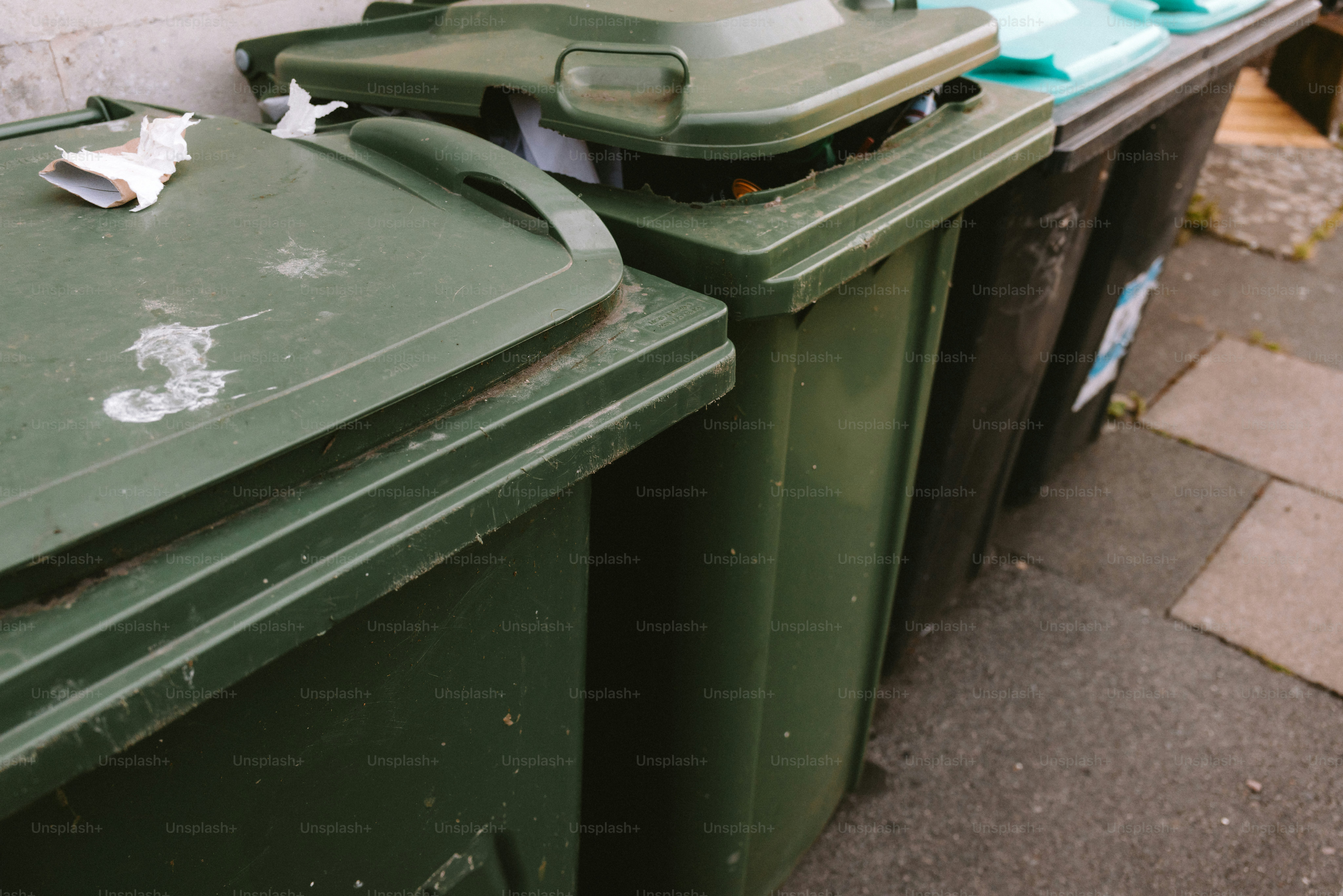 Plusieurs poubelles vertes sont alignées à l’extérieur