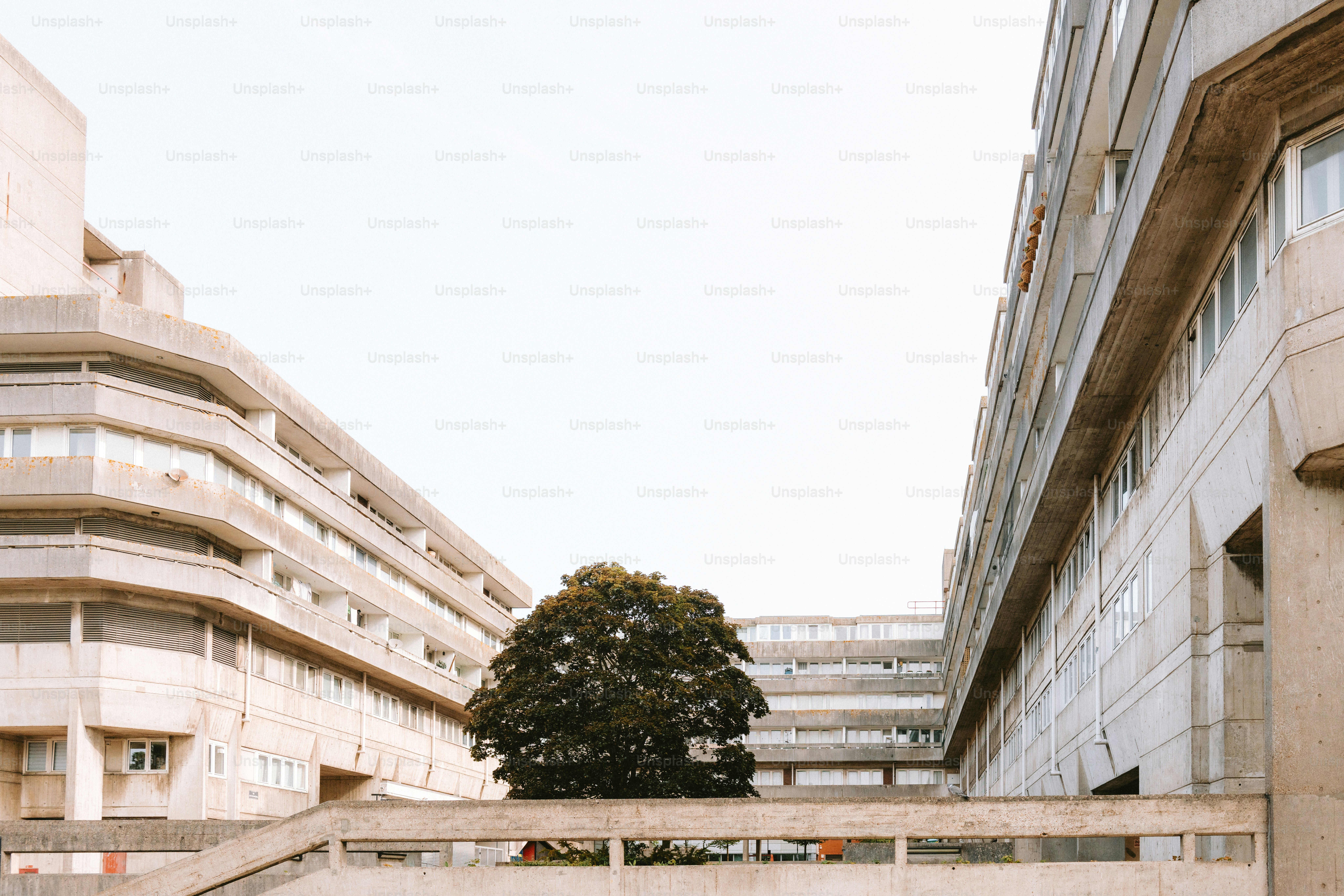 Concrete buildings frame a lone tree.