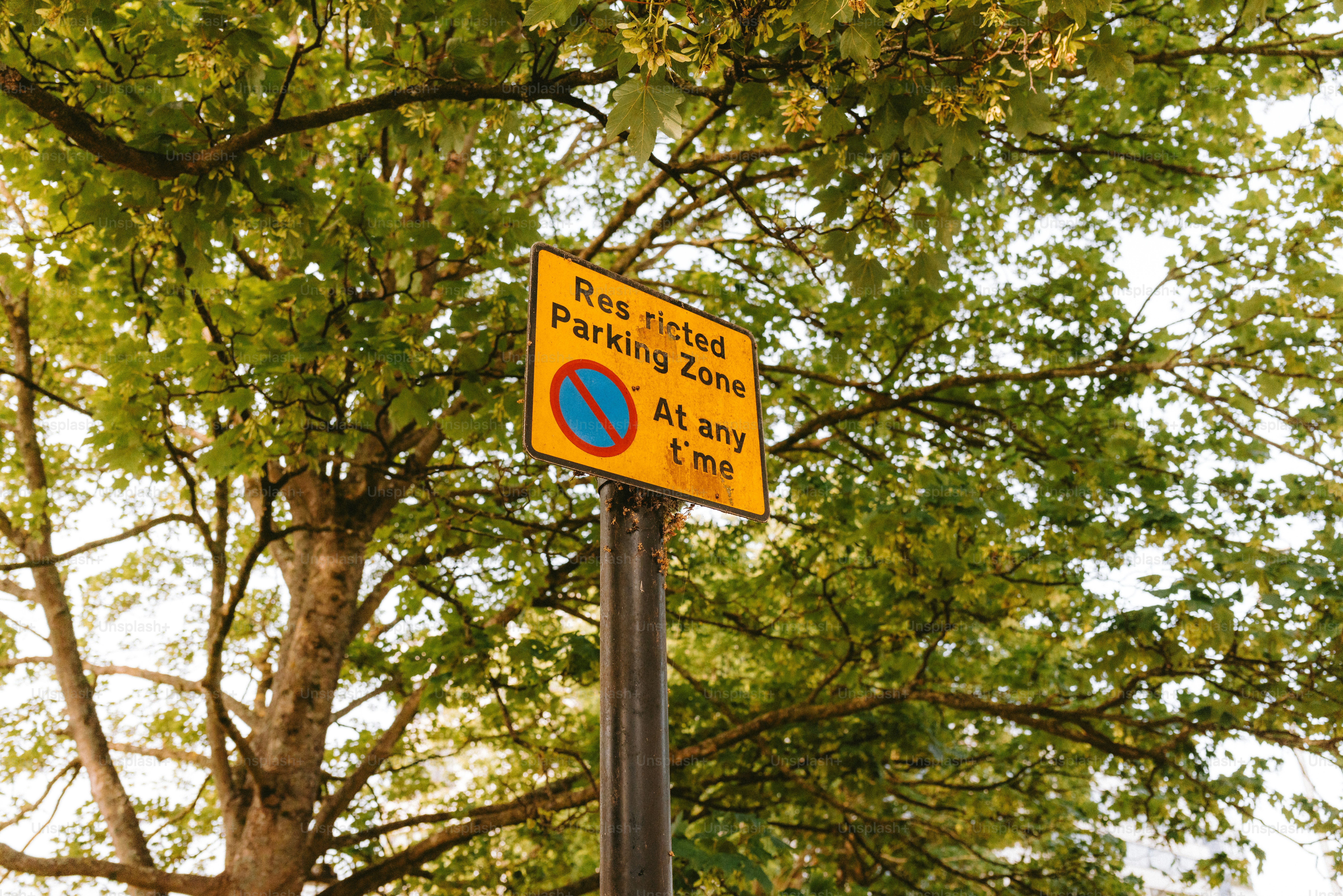 No parking is allowed at any time.