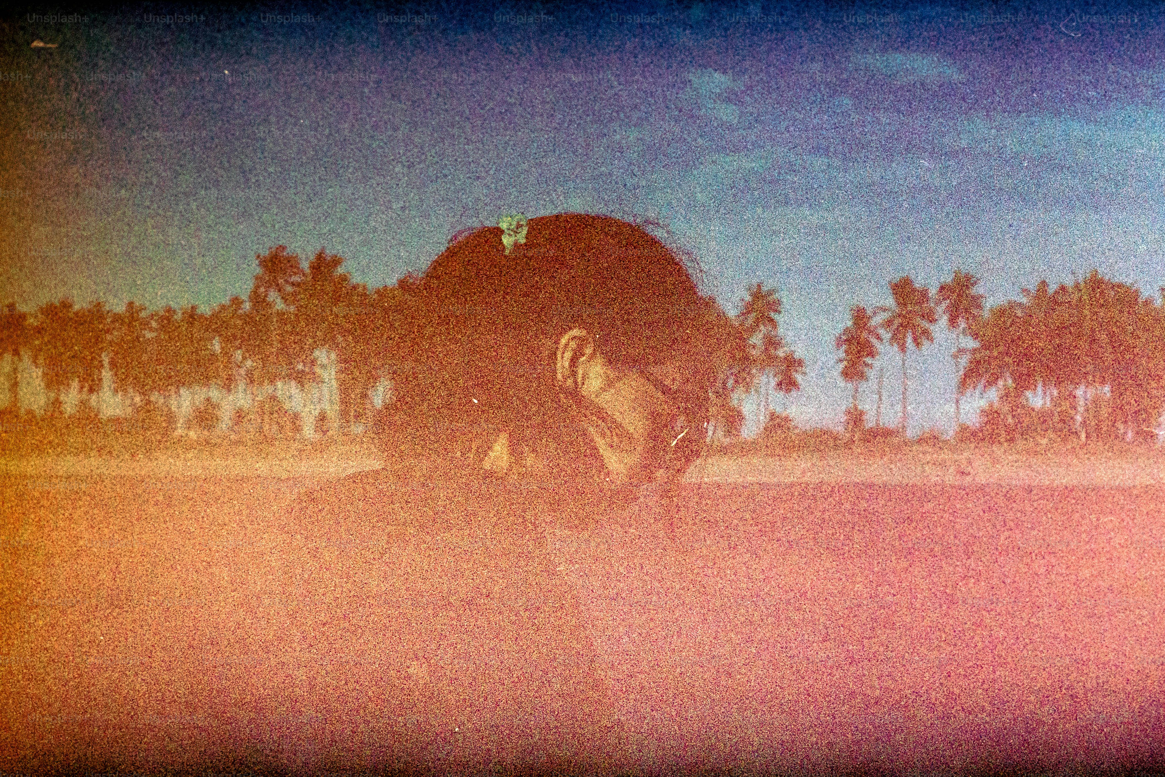 Die Person schaut auf einen Strand mit Palmen.