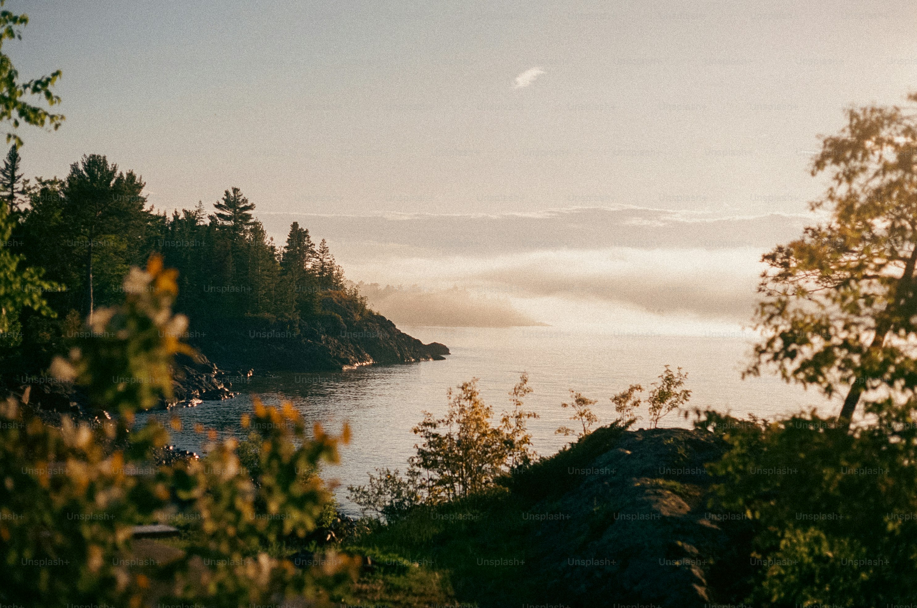 Mist blankets the lake shore at sunrise.