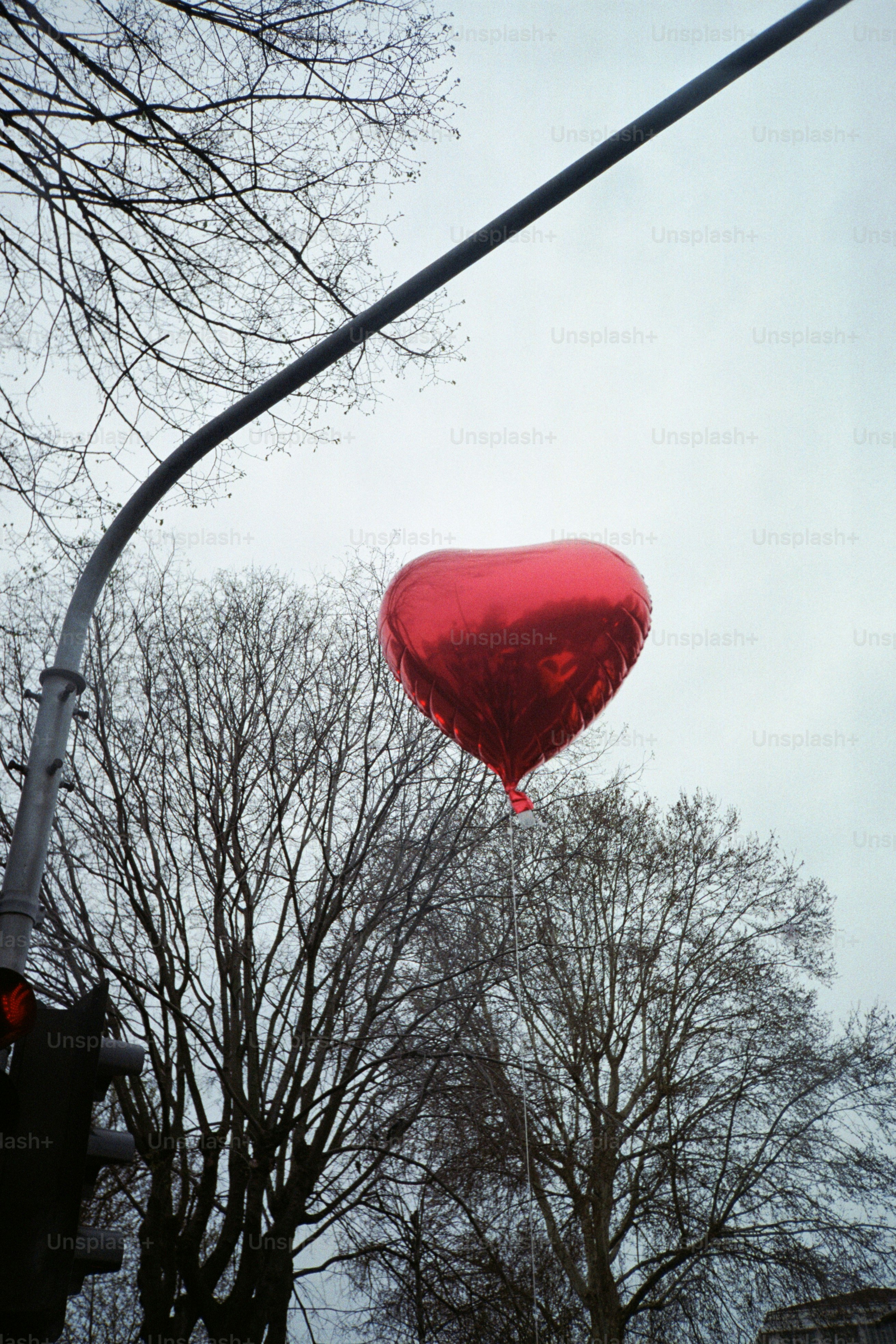 A red heart balloon floats amidst the trees.