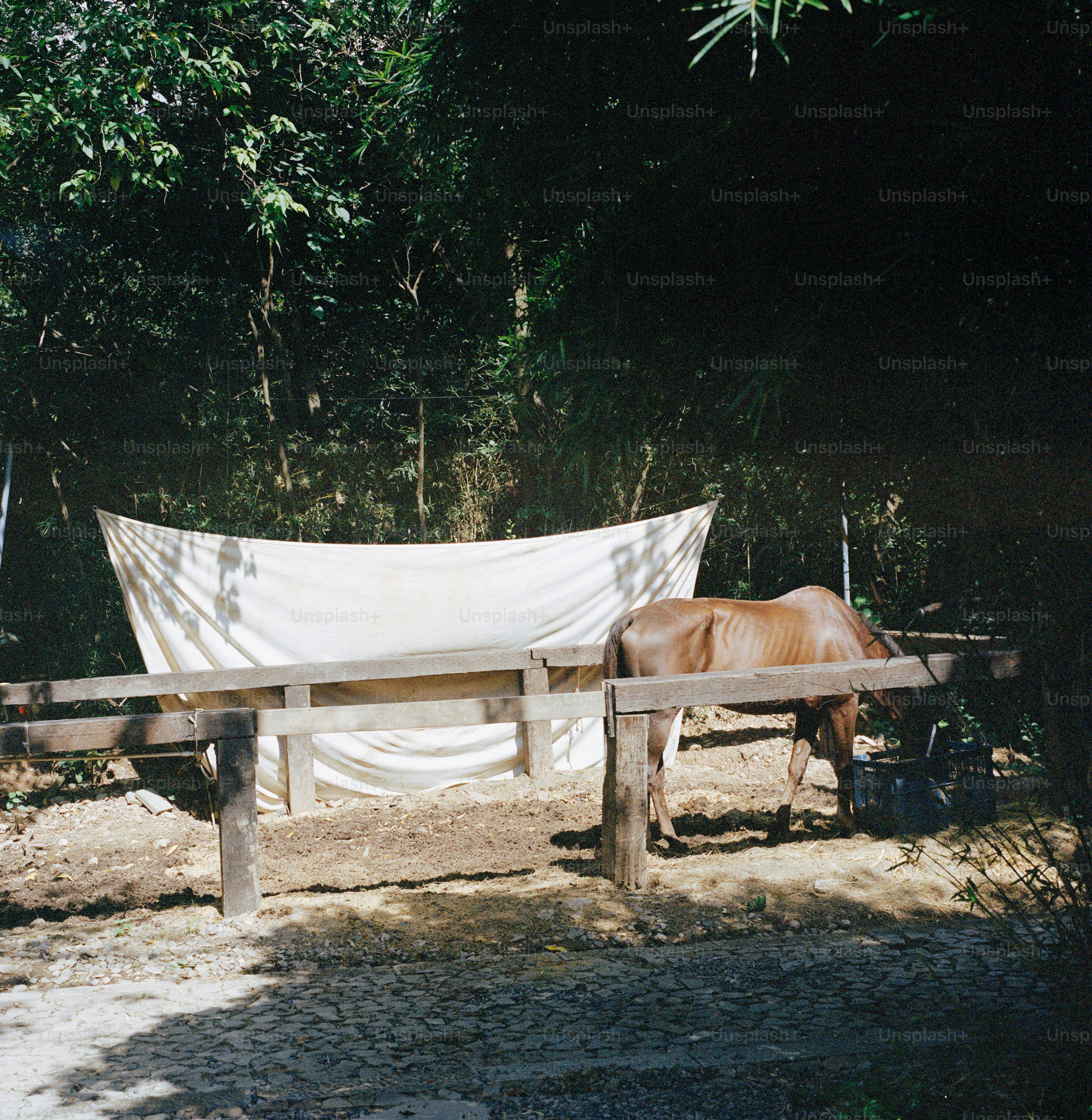 A horse stands inside of a wooden enclosure.
