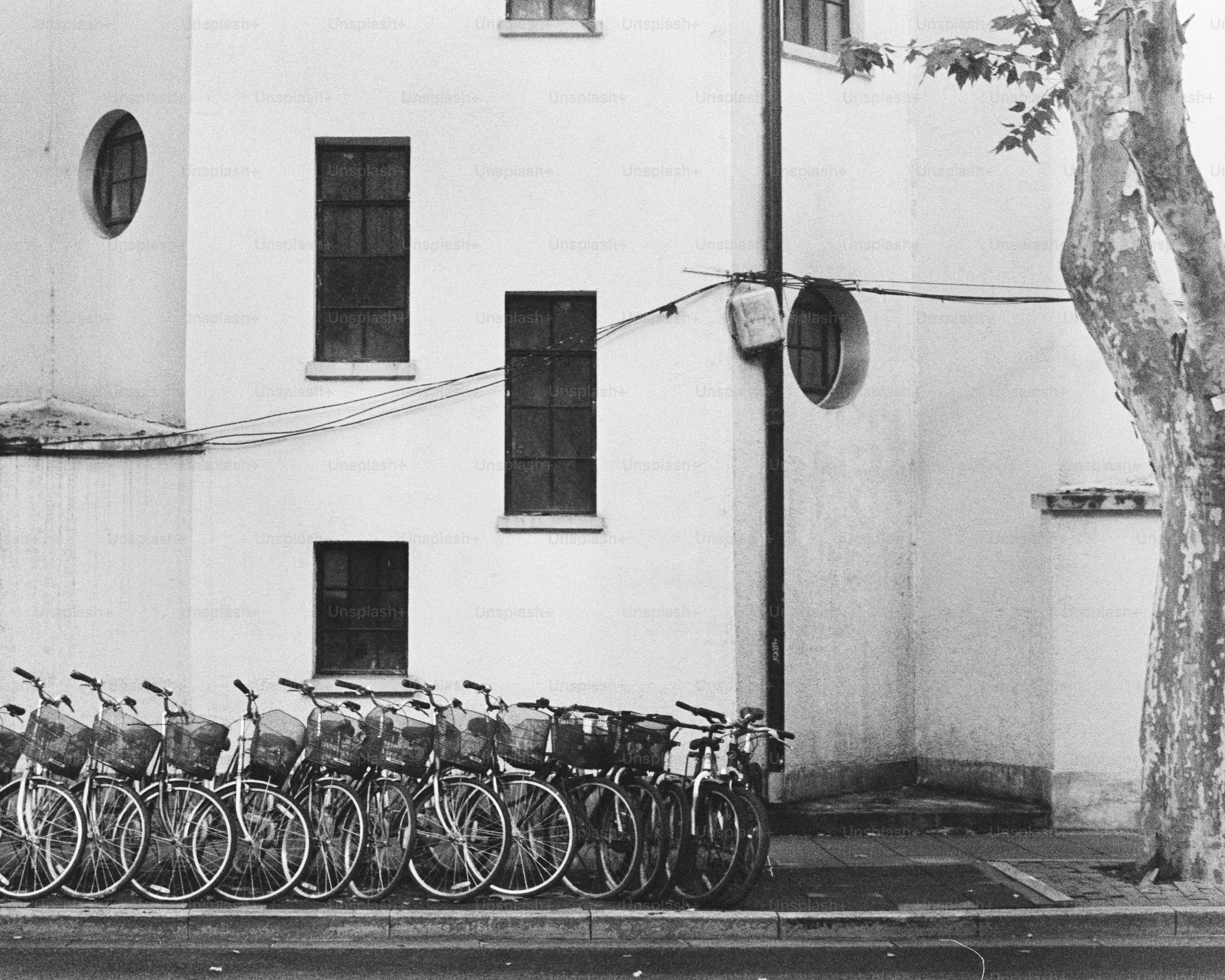 Bicycles parked neatly in front of a white building.