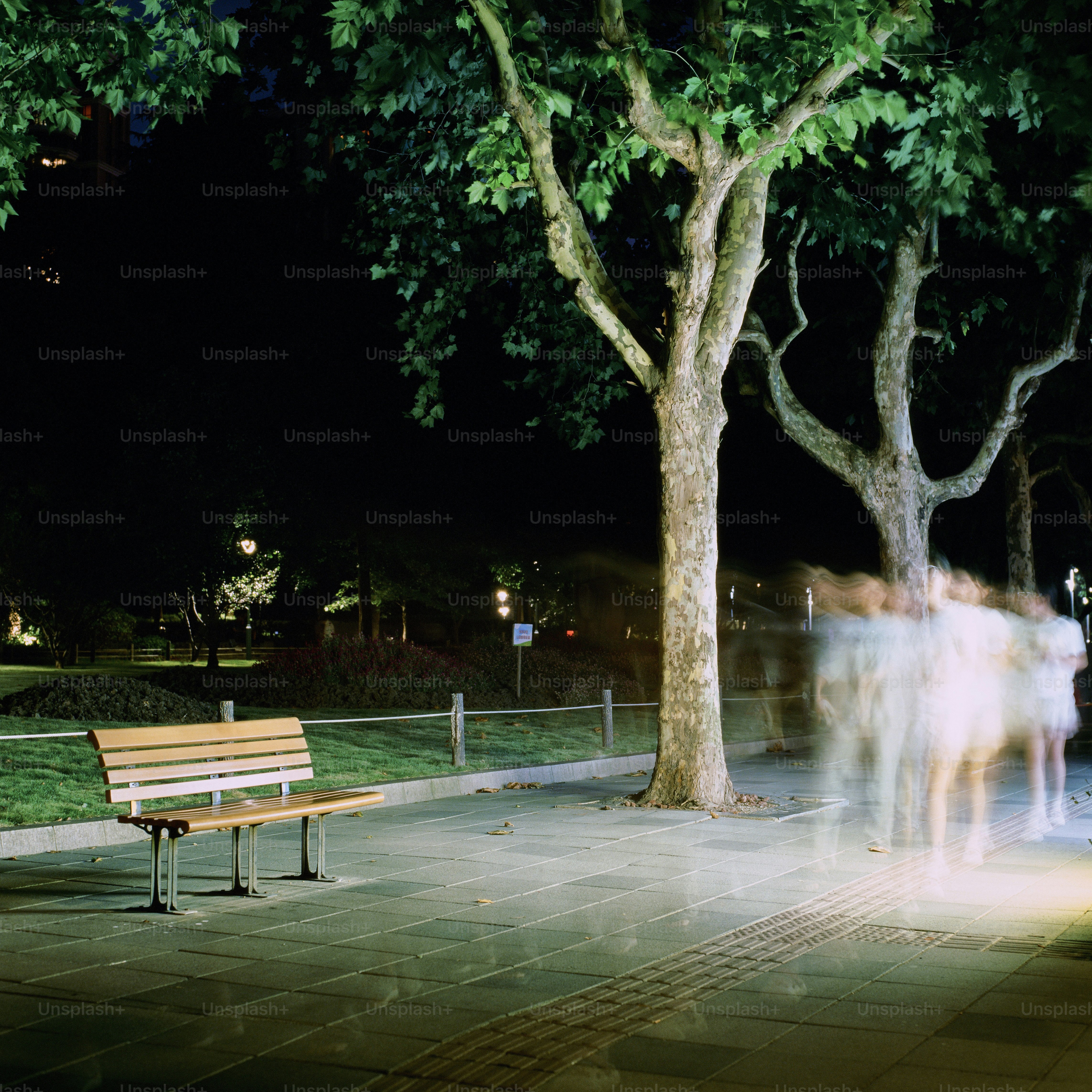 Park bench at night with blurred figures.