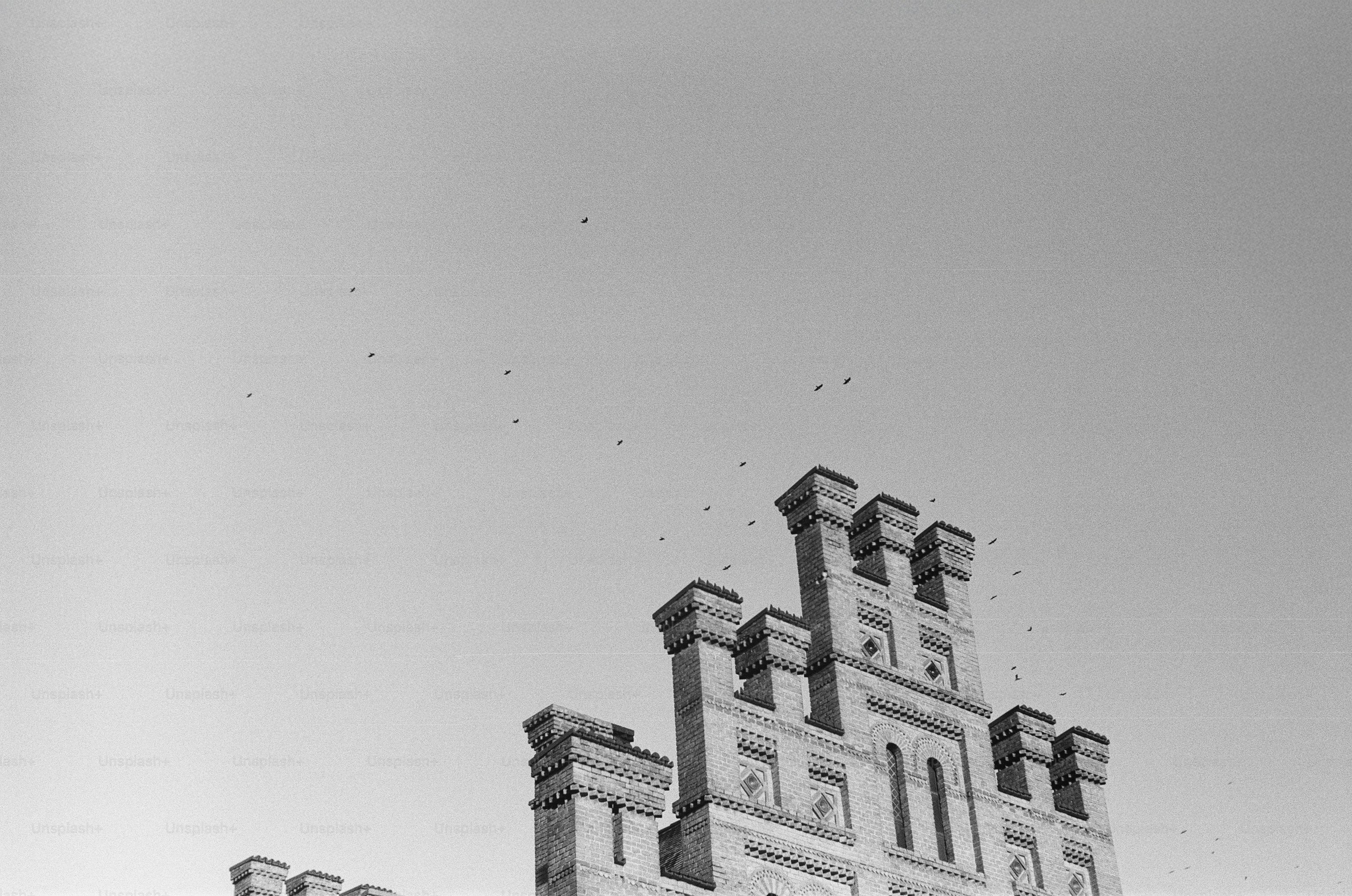 A castle's turret is visible against the sky.