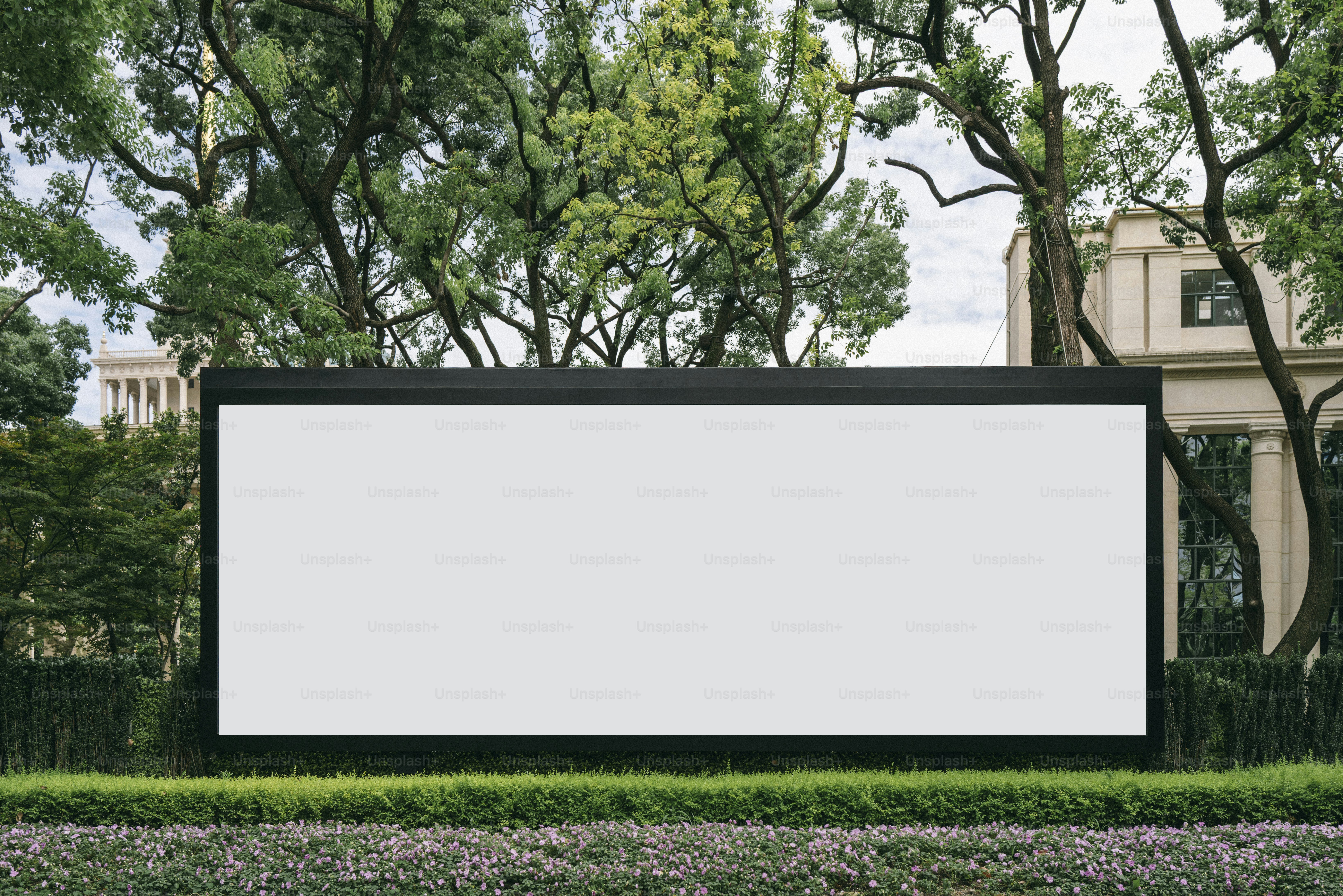 A blank billboard stands in a lush green area.