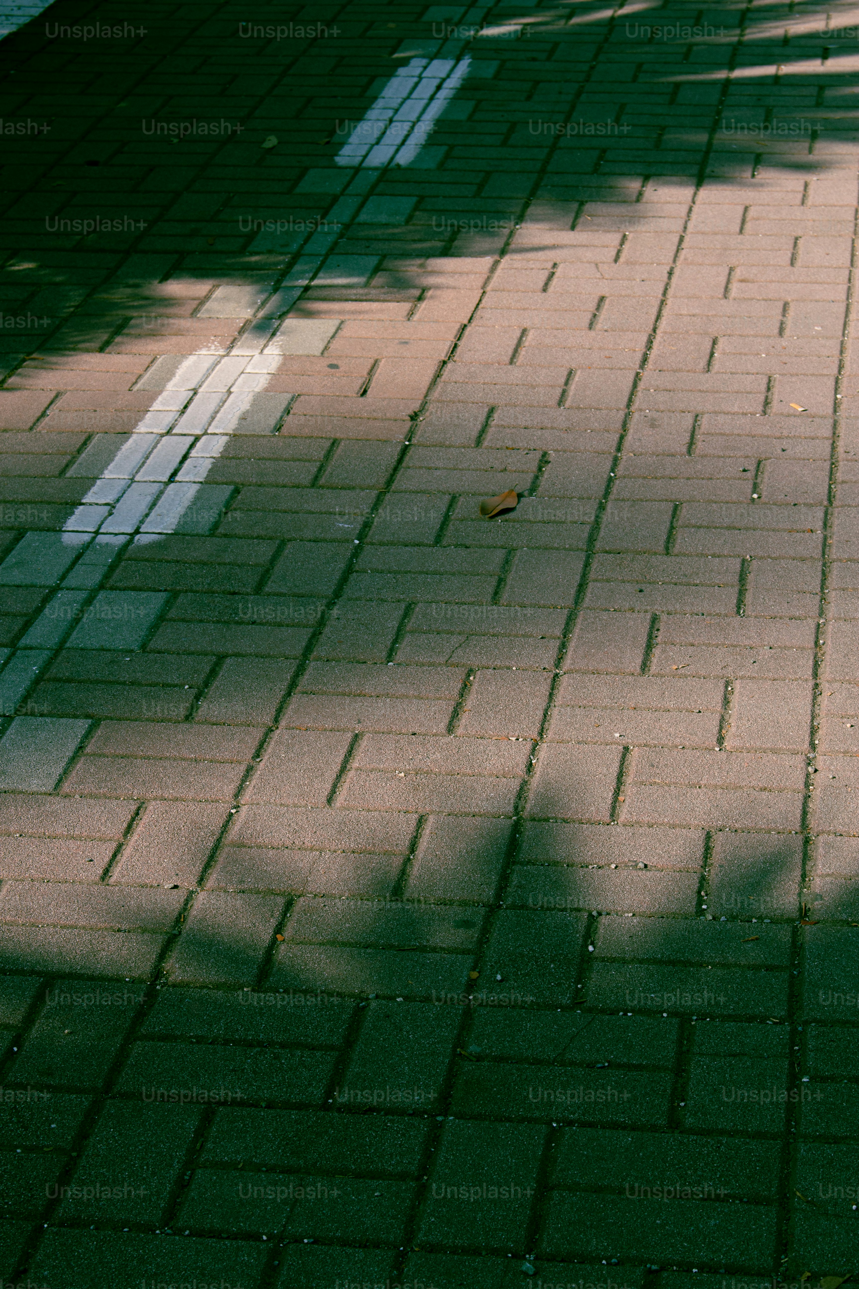 Abstract