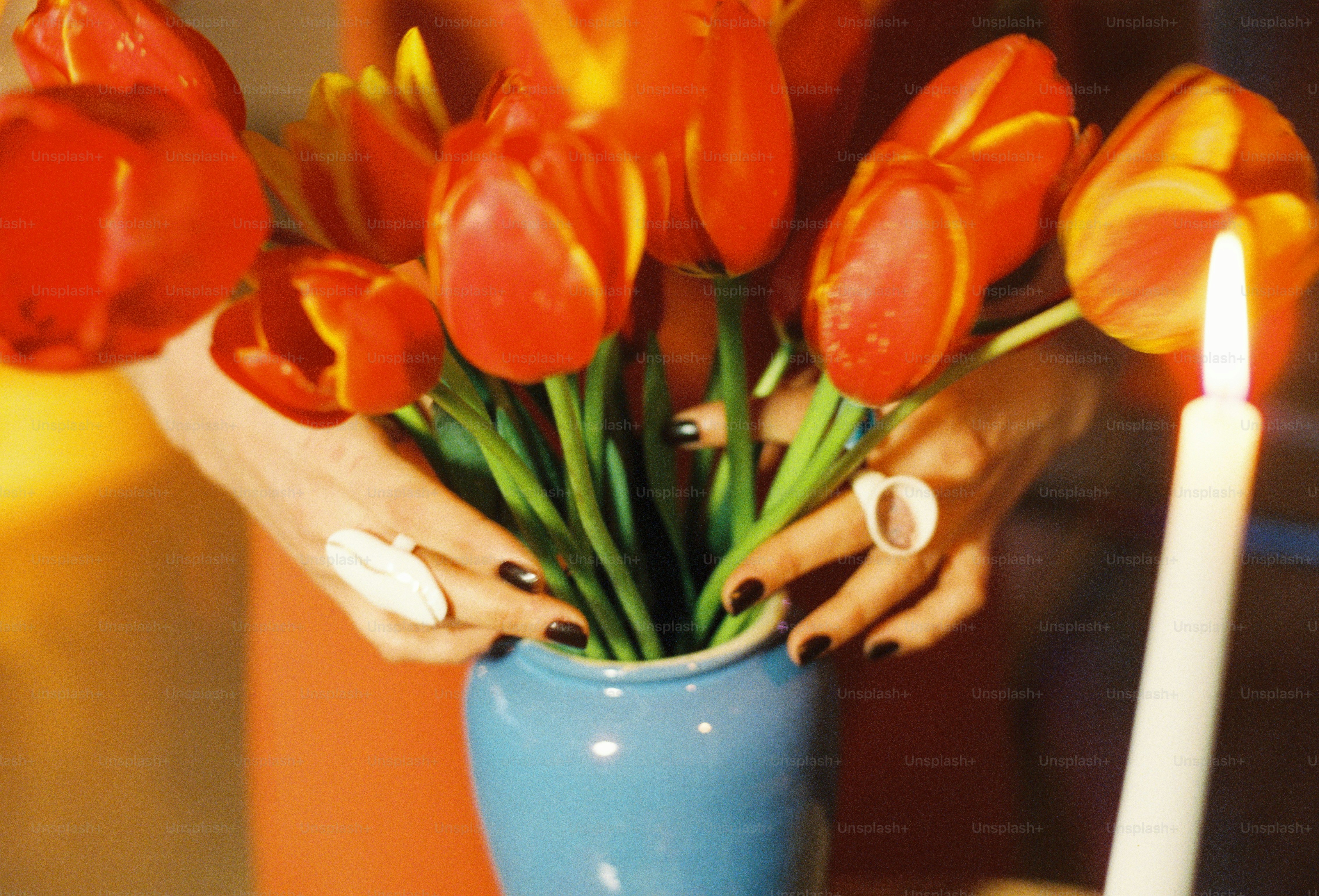 Woman's hands arrange tulips in a vase.