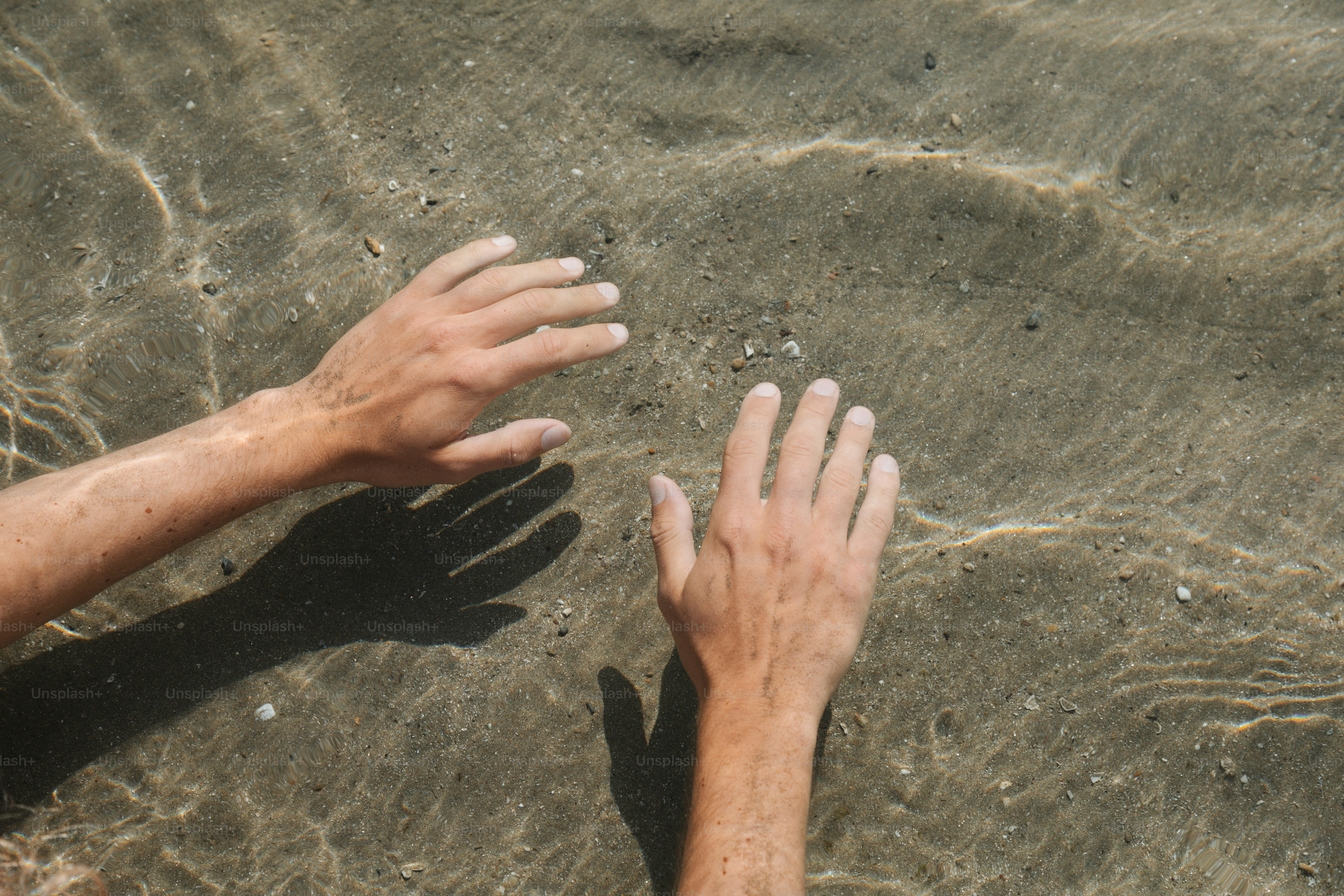 Hands are submerged in clear, shallow water.