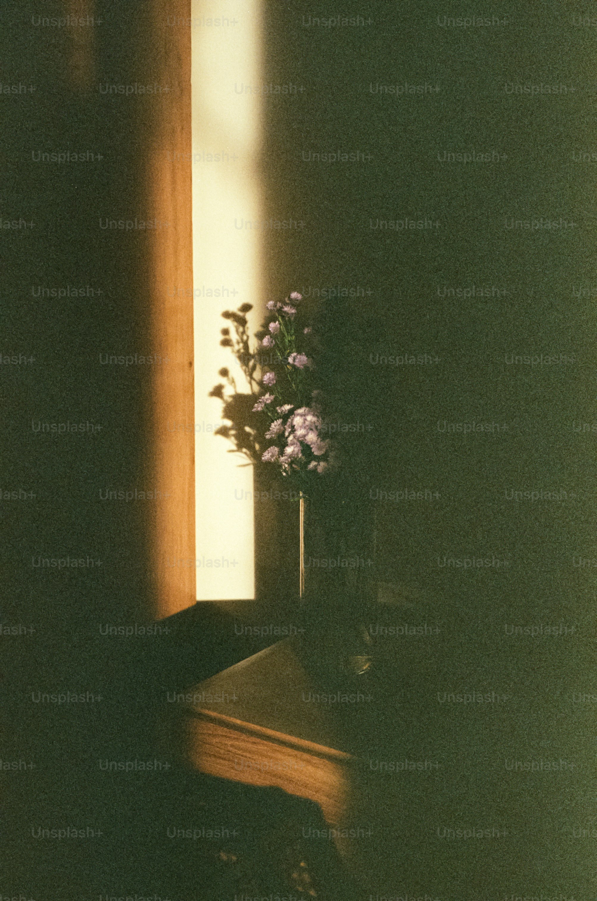 Flowers sit near a sunlit window.