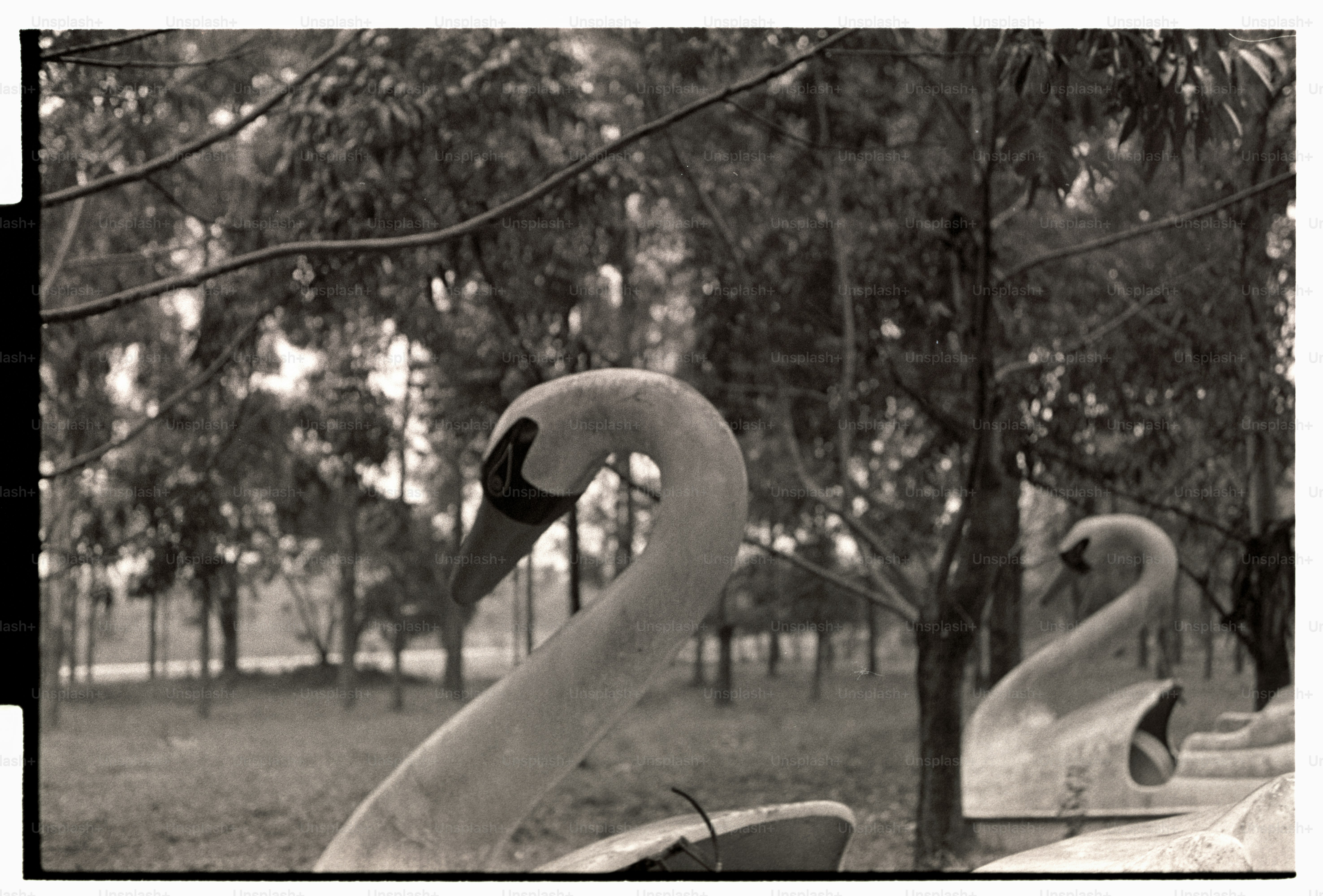 A Network Without Borders: Reality Network's Model for Emerging Market Empowerment