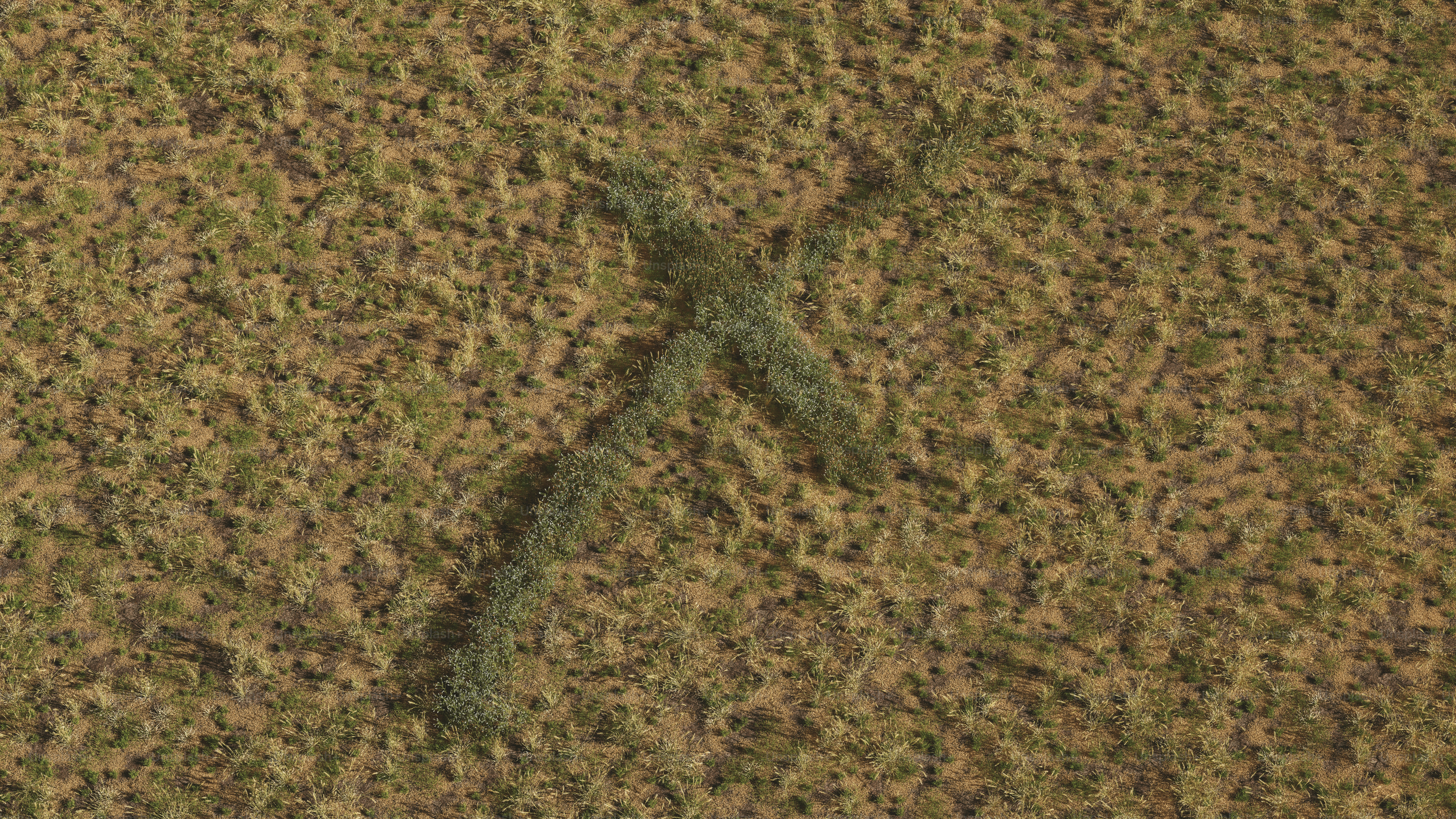 A branch-like shape on a textured surface.