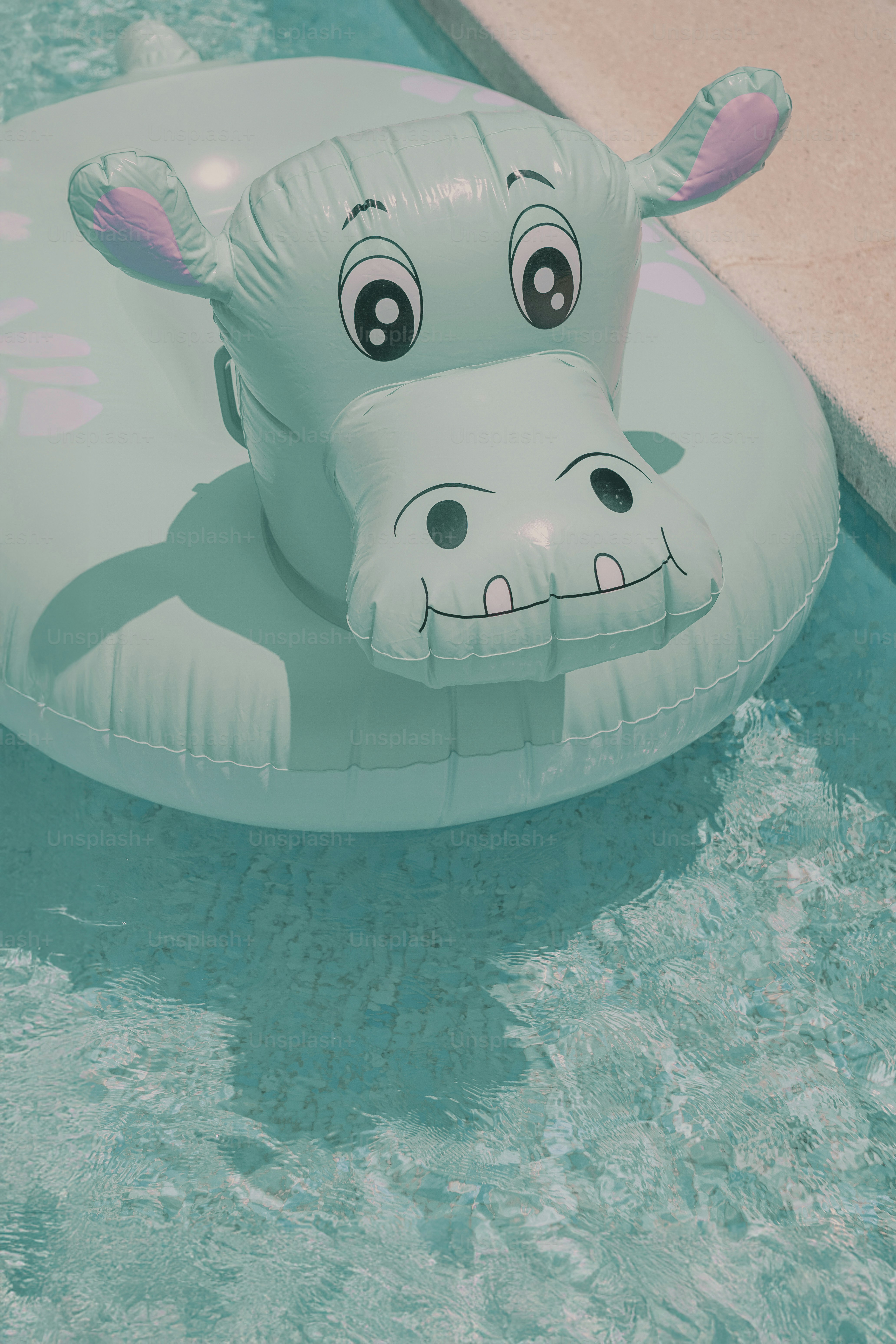 An inflatable hippo floats in a pool.