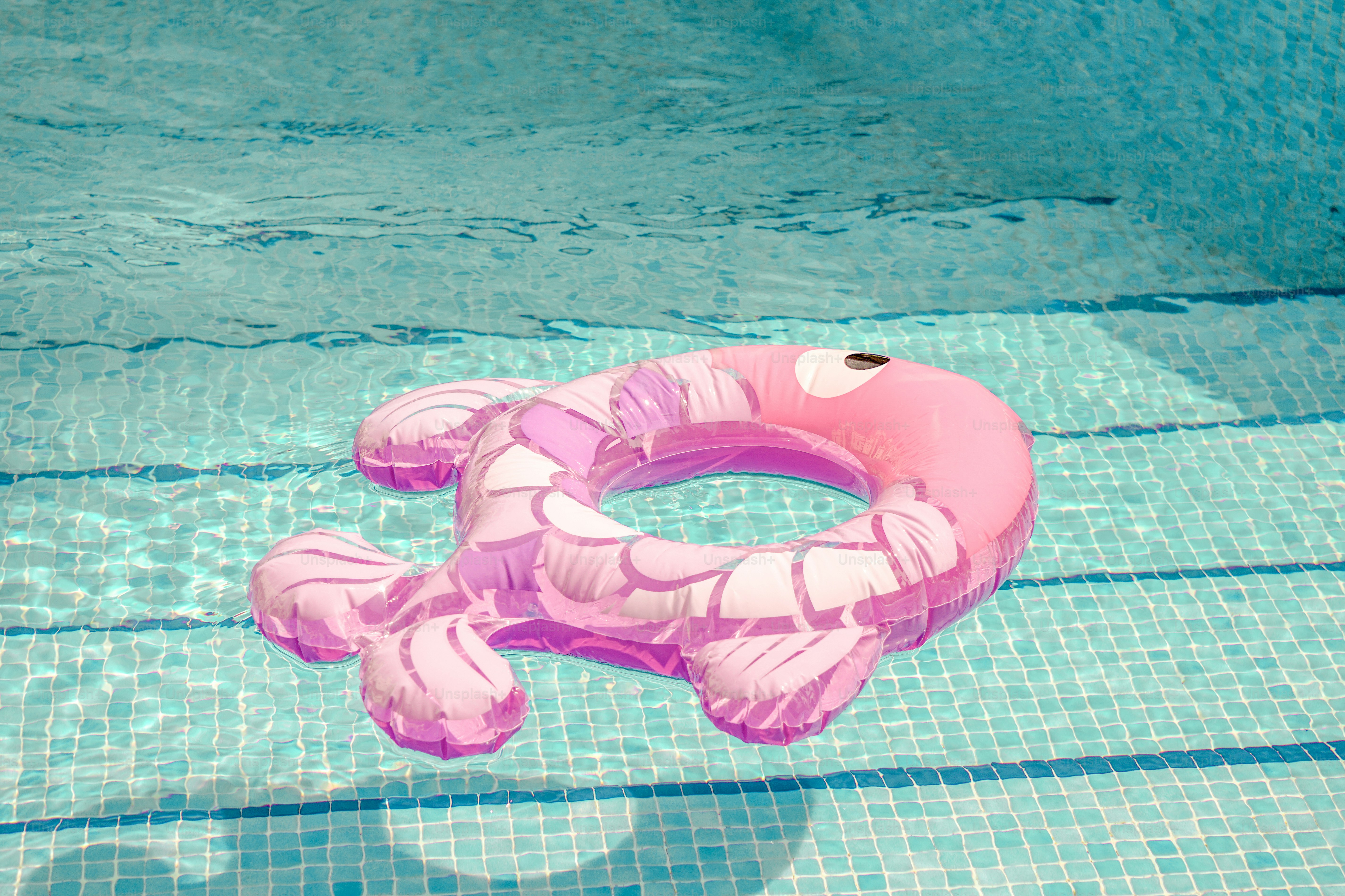 A pink fish float rests in a swimming pool.