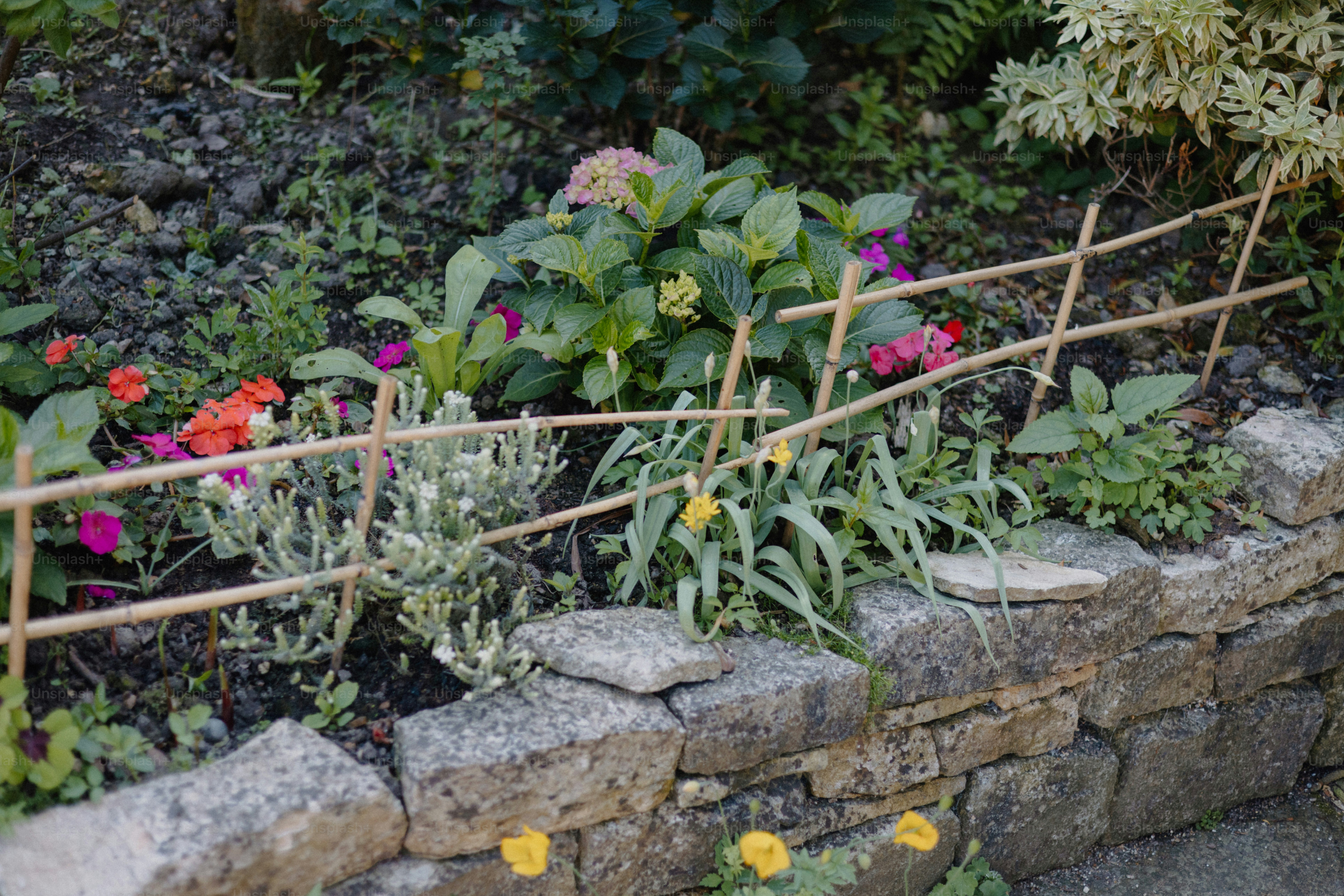 A garden with flowers and a stone wall.