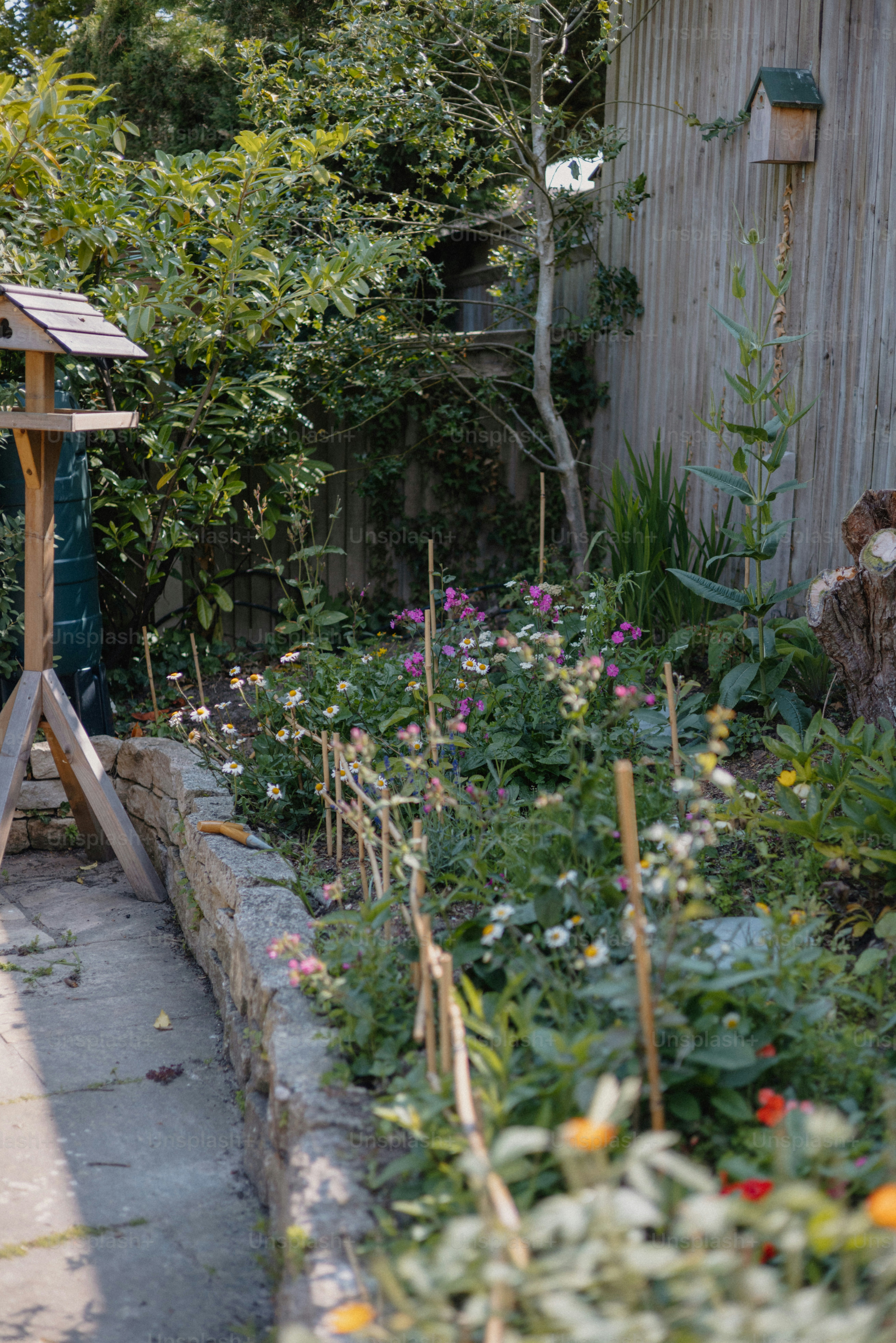 A lush garden with flowers and a bird feeder