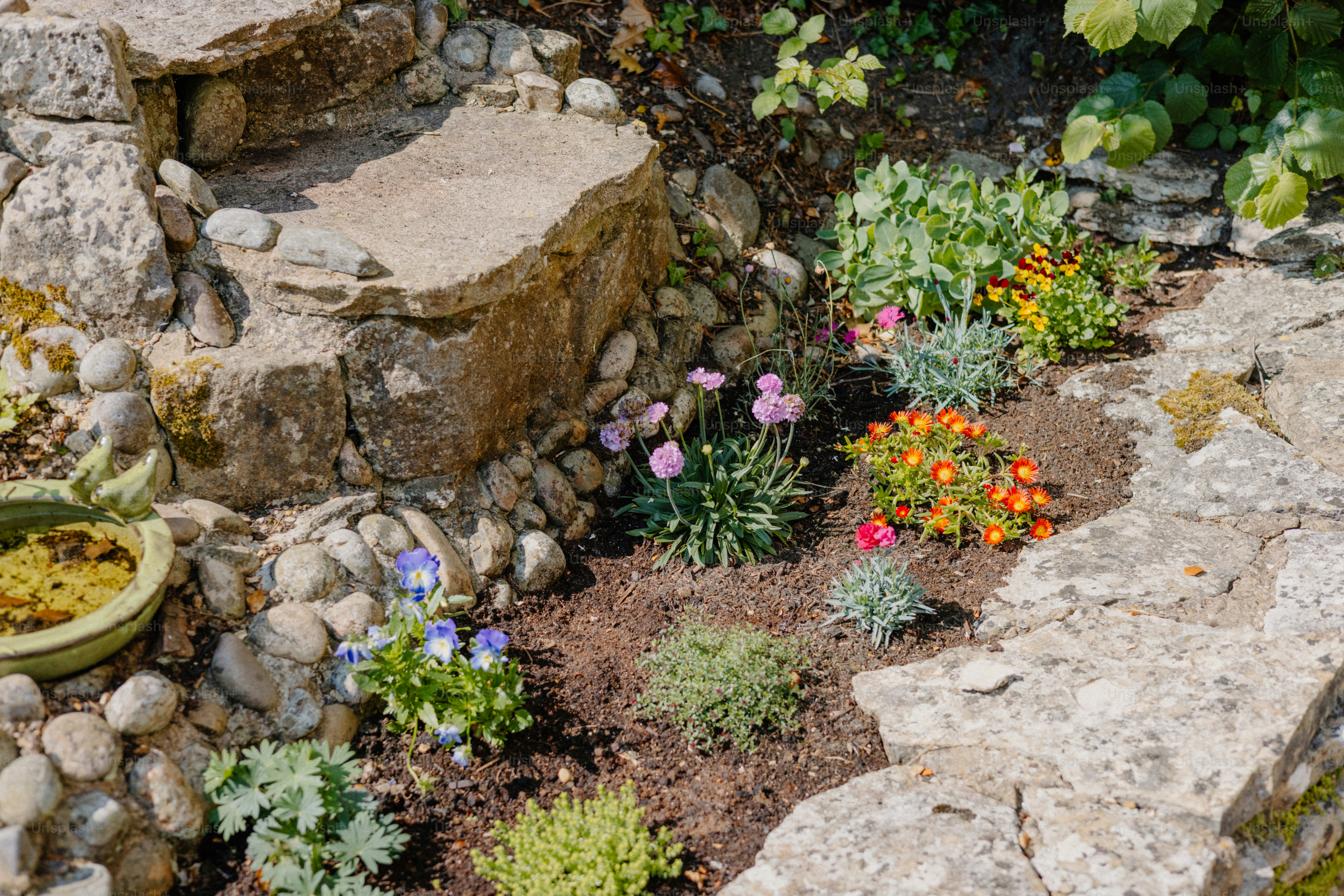 A rocky garden filled with colorful flowers.