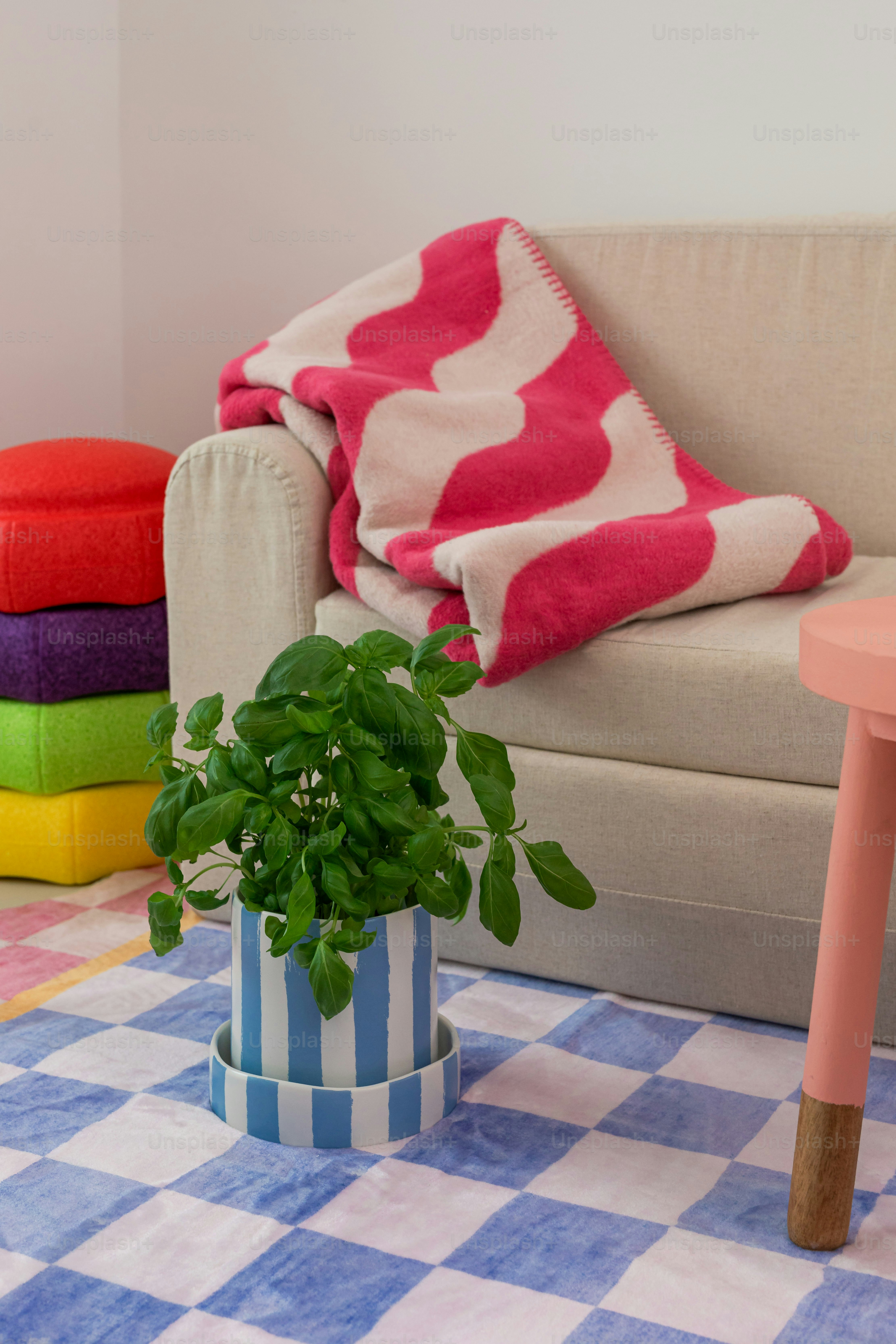 premium_photo-1749666992742-4c58d5cd2f0e?q=80&w=987&auto=format&fit=crop&ixlib=rb-4.1.0&ixid=M3wxMjA3fDB8MHxwaG90by1wYWdlfHx8fGVufDB8fHx8fA%3D%3D