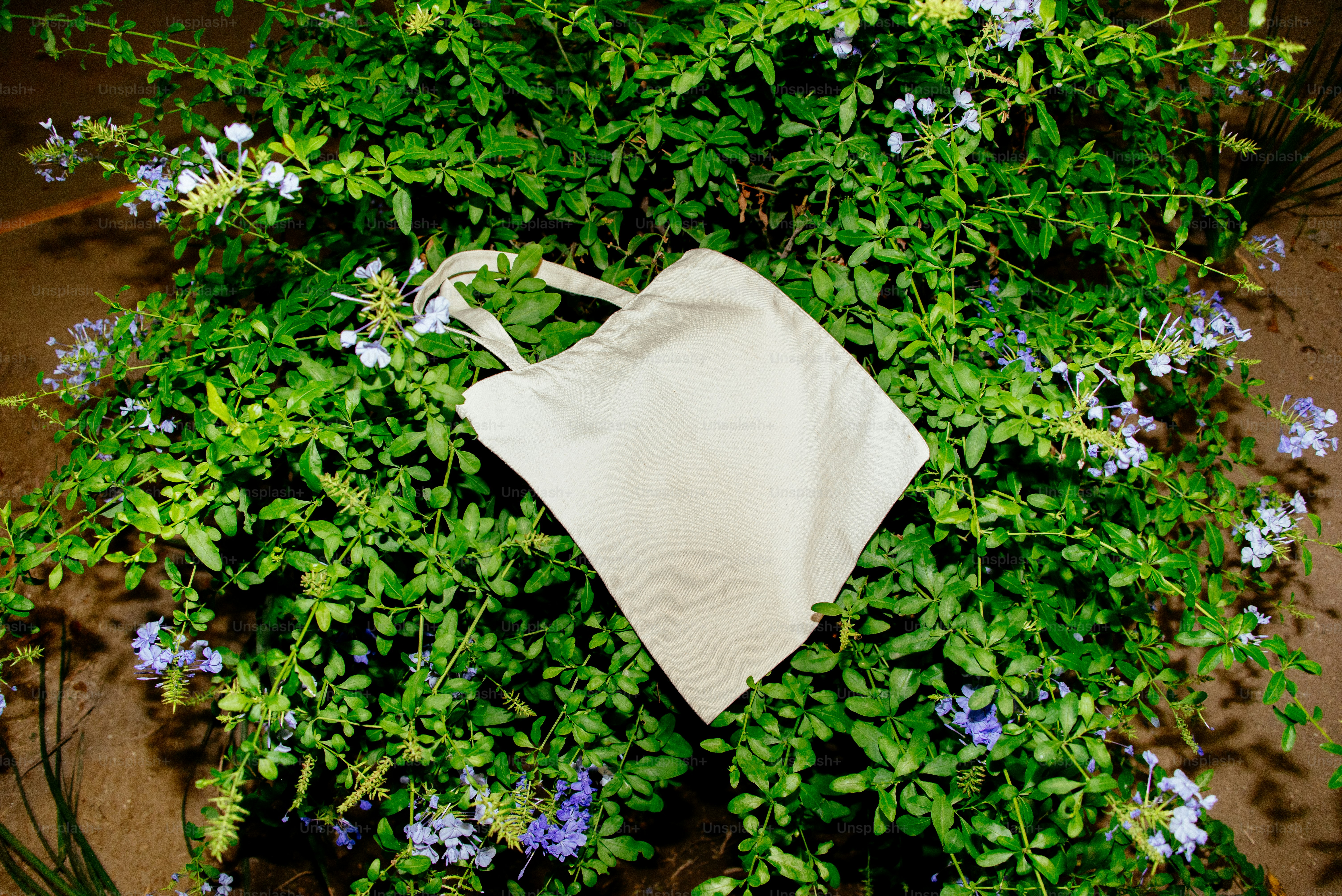 A white bag rests amidst lush greenery.