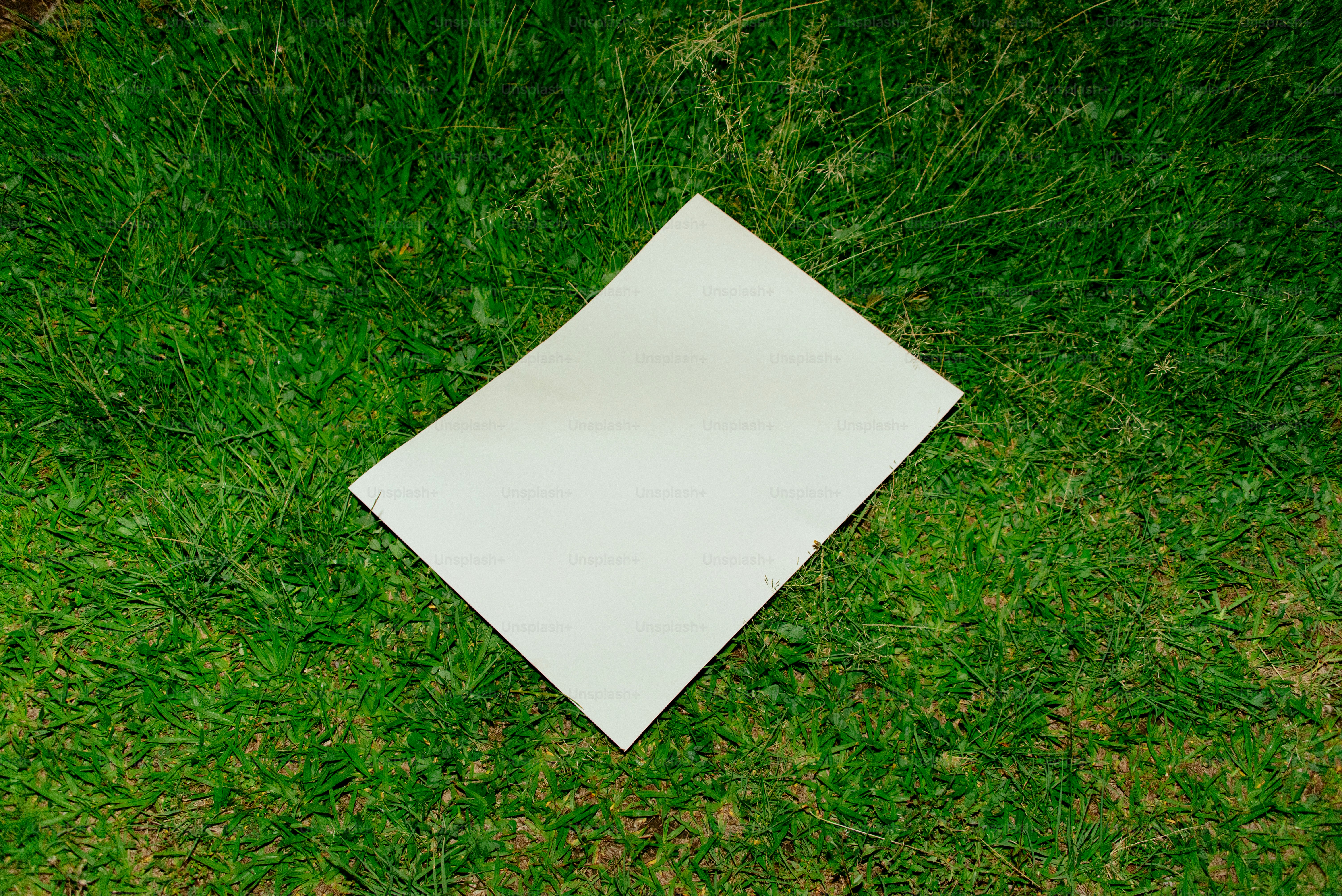 Un foglio di carta bianco poggia sull'erba