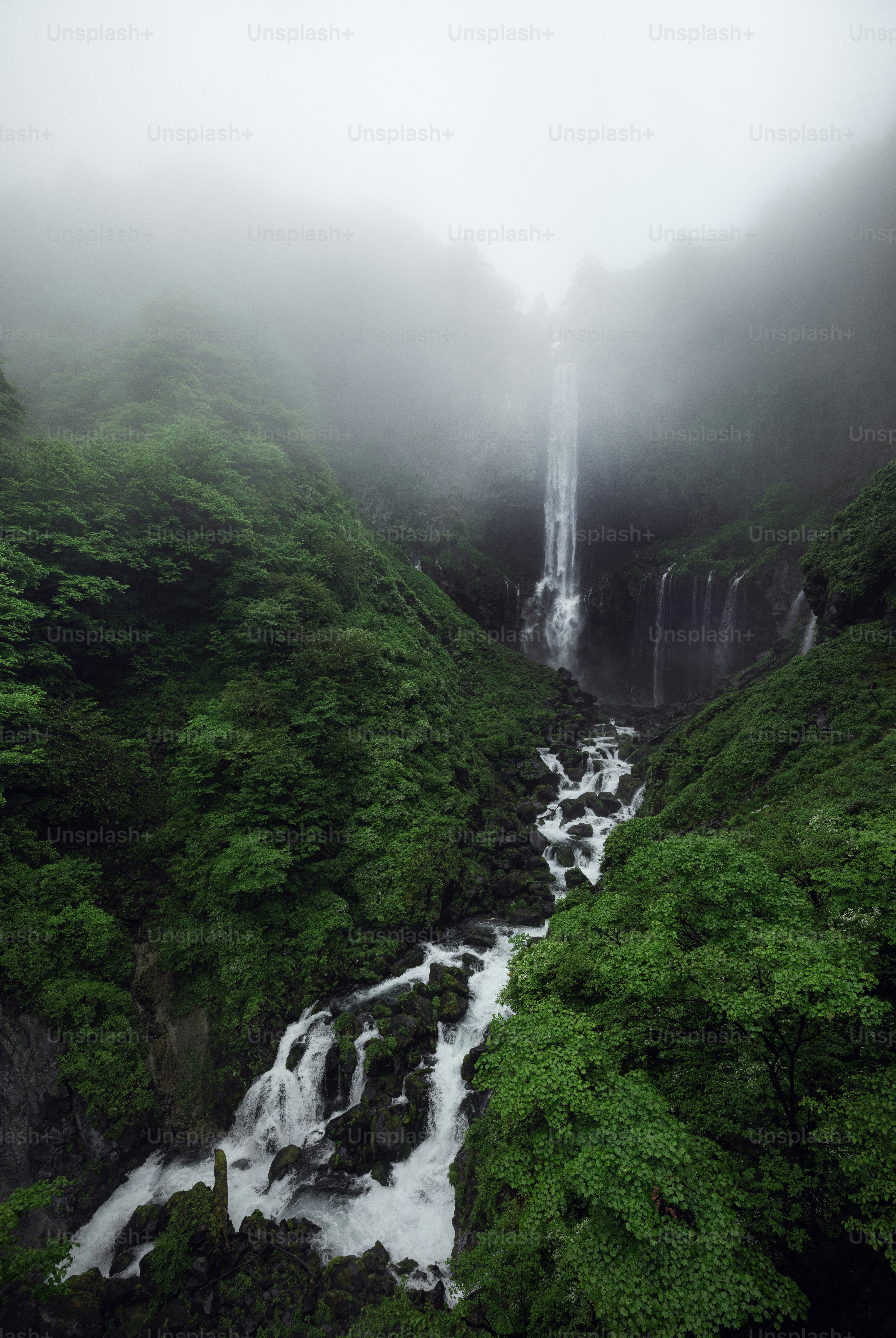 Waterfall cascades through a lush, green, misty landscape.