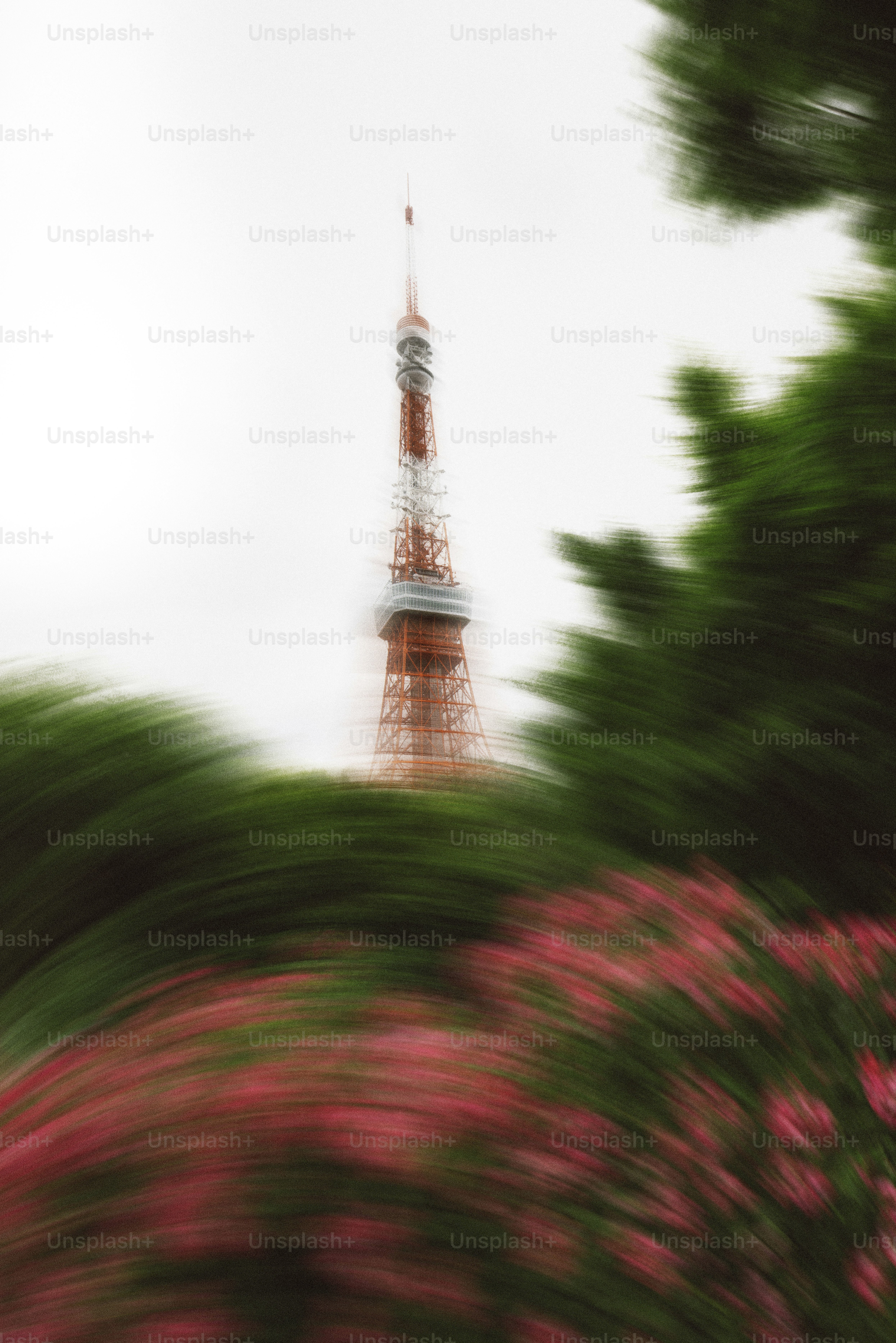 Tokyo tower is seen amidst blurred foliage.