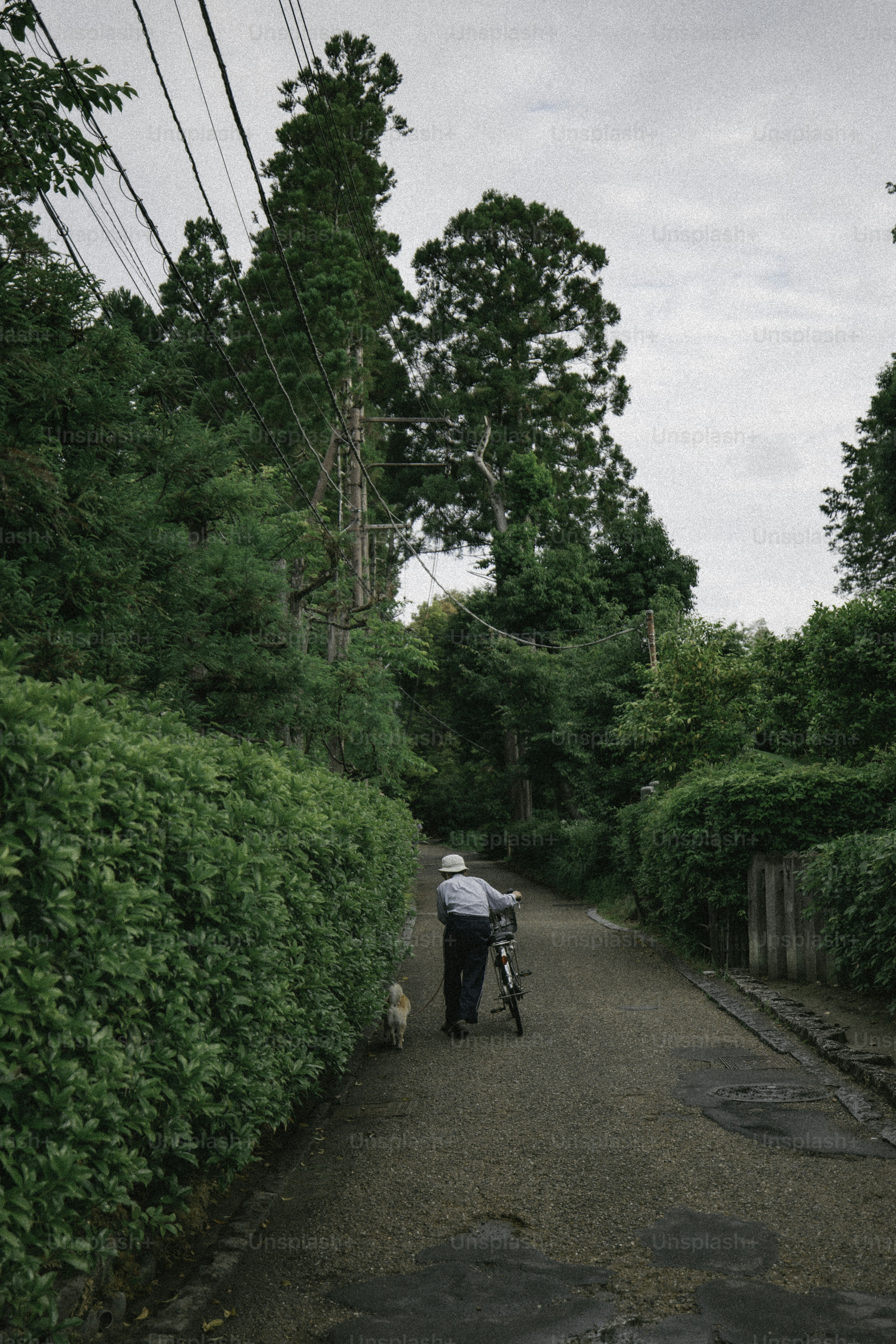 An older man walks with a dog and bike.