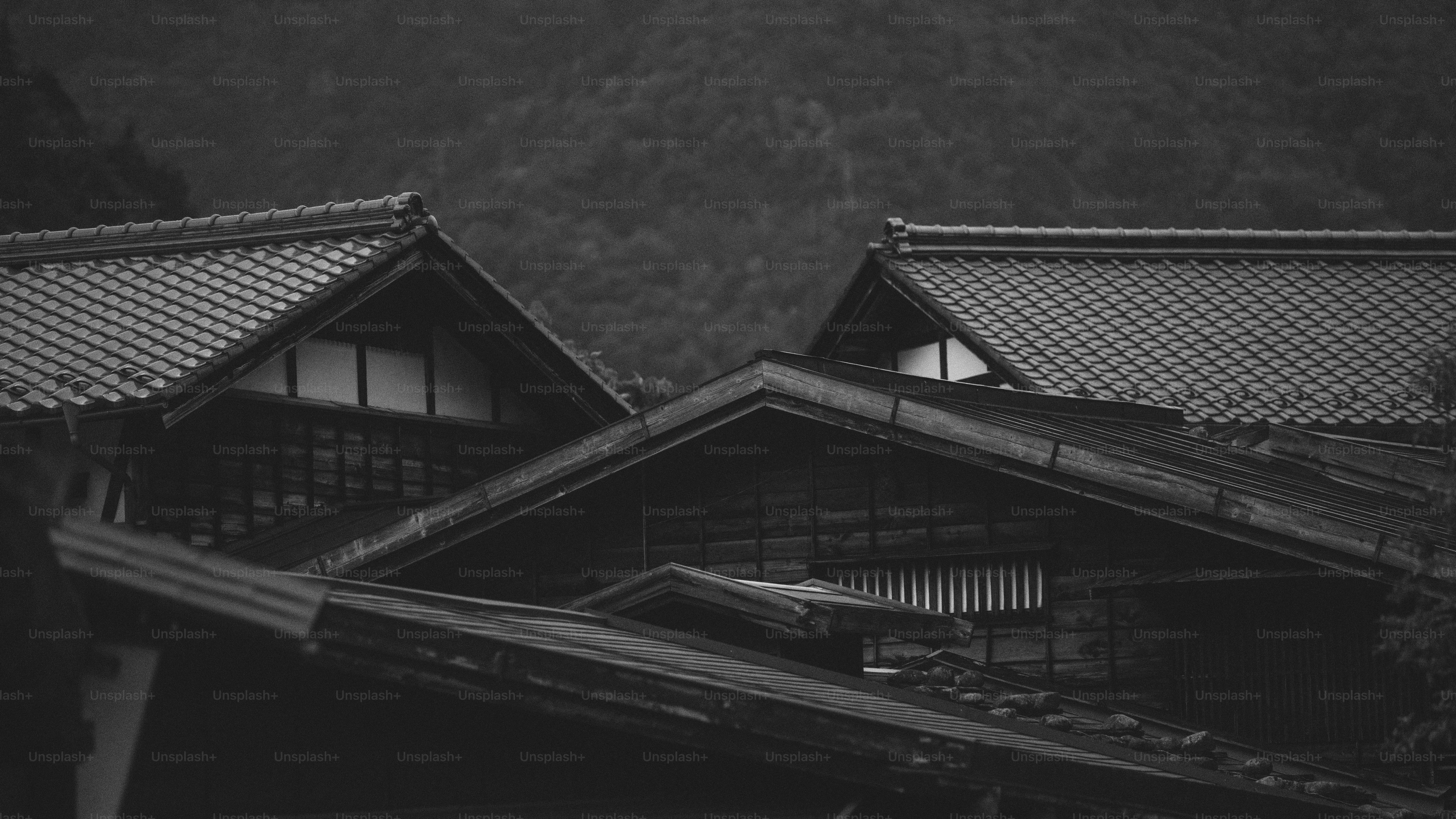 Traditional japanese houses nestle into the mountains.