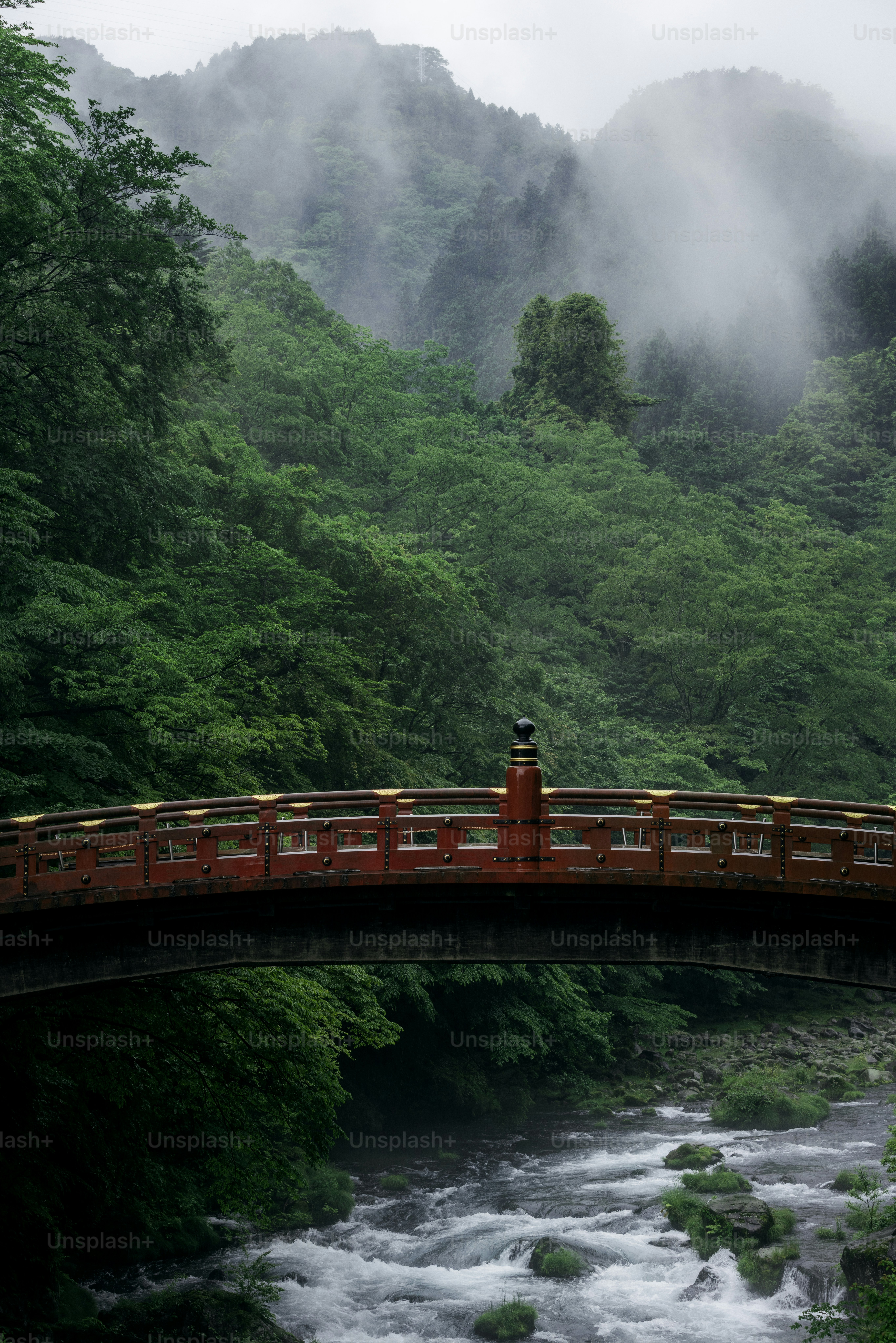 Un puente rojo cruza un río en medio de una exuberante vegetación.