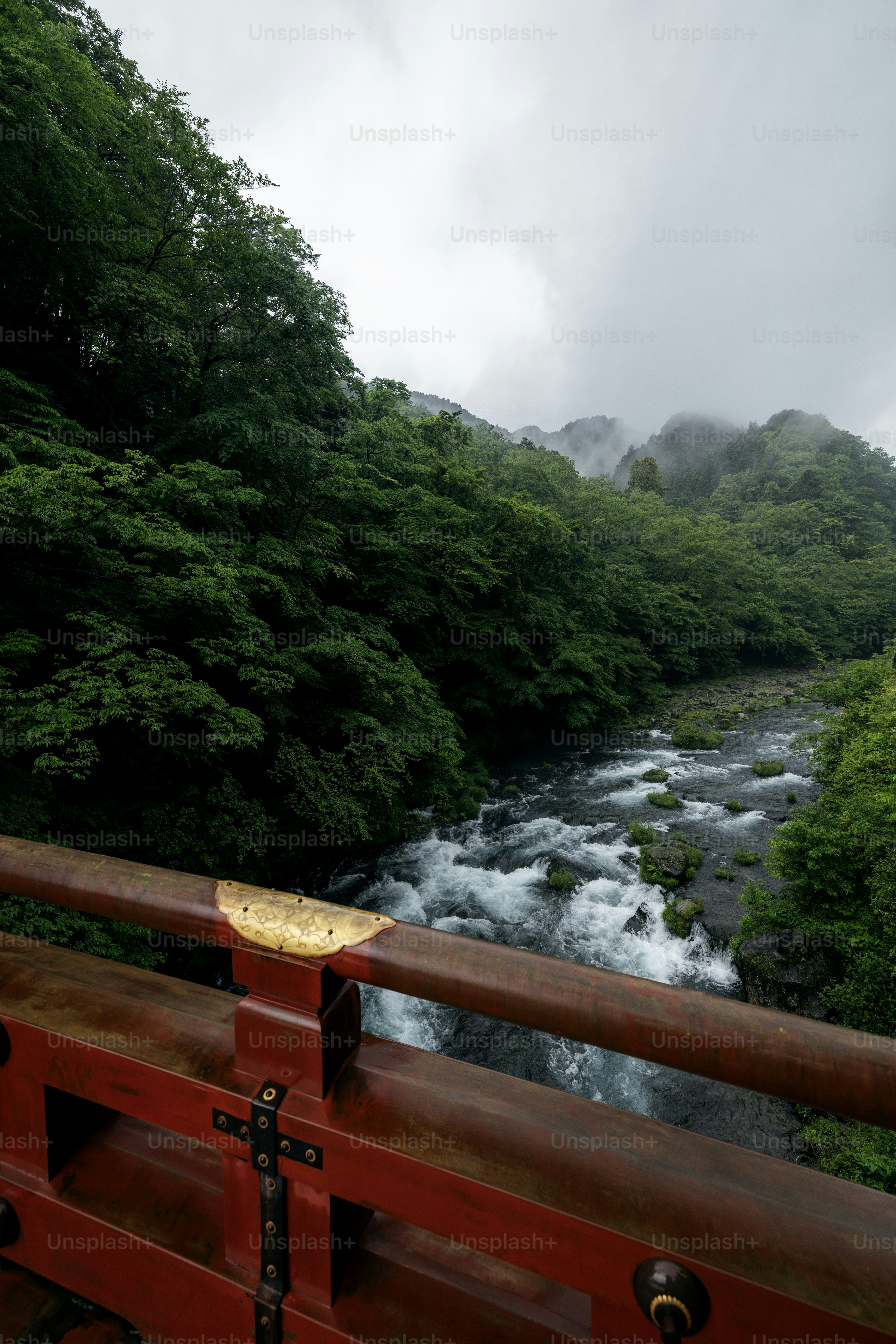 A rushing river flows through a lush green valley. photo – Travel Image ...