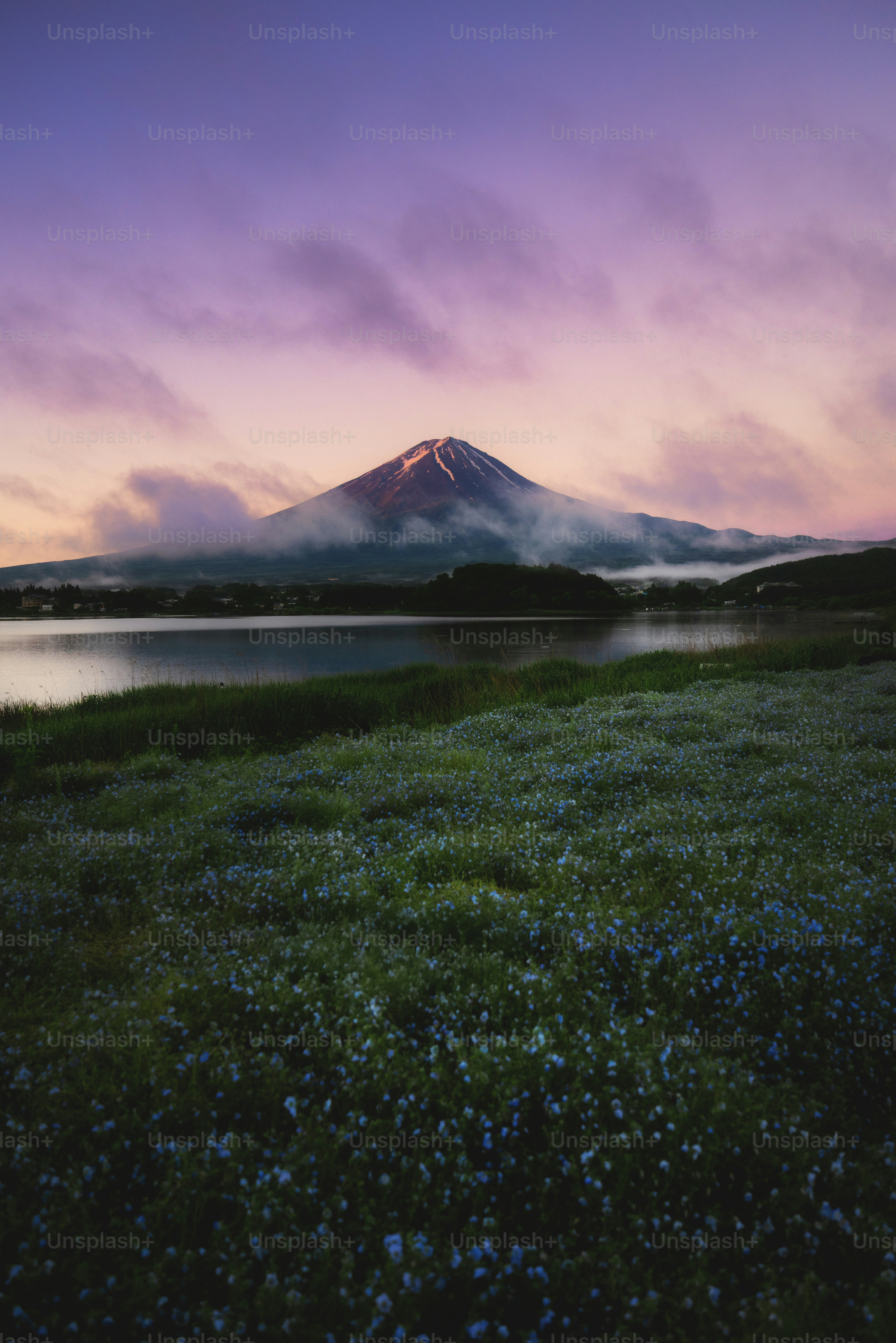 Mount fuji rises over a lake at dusk.