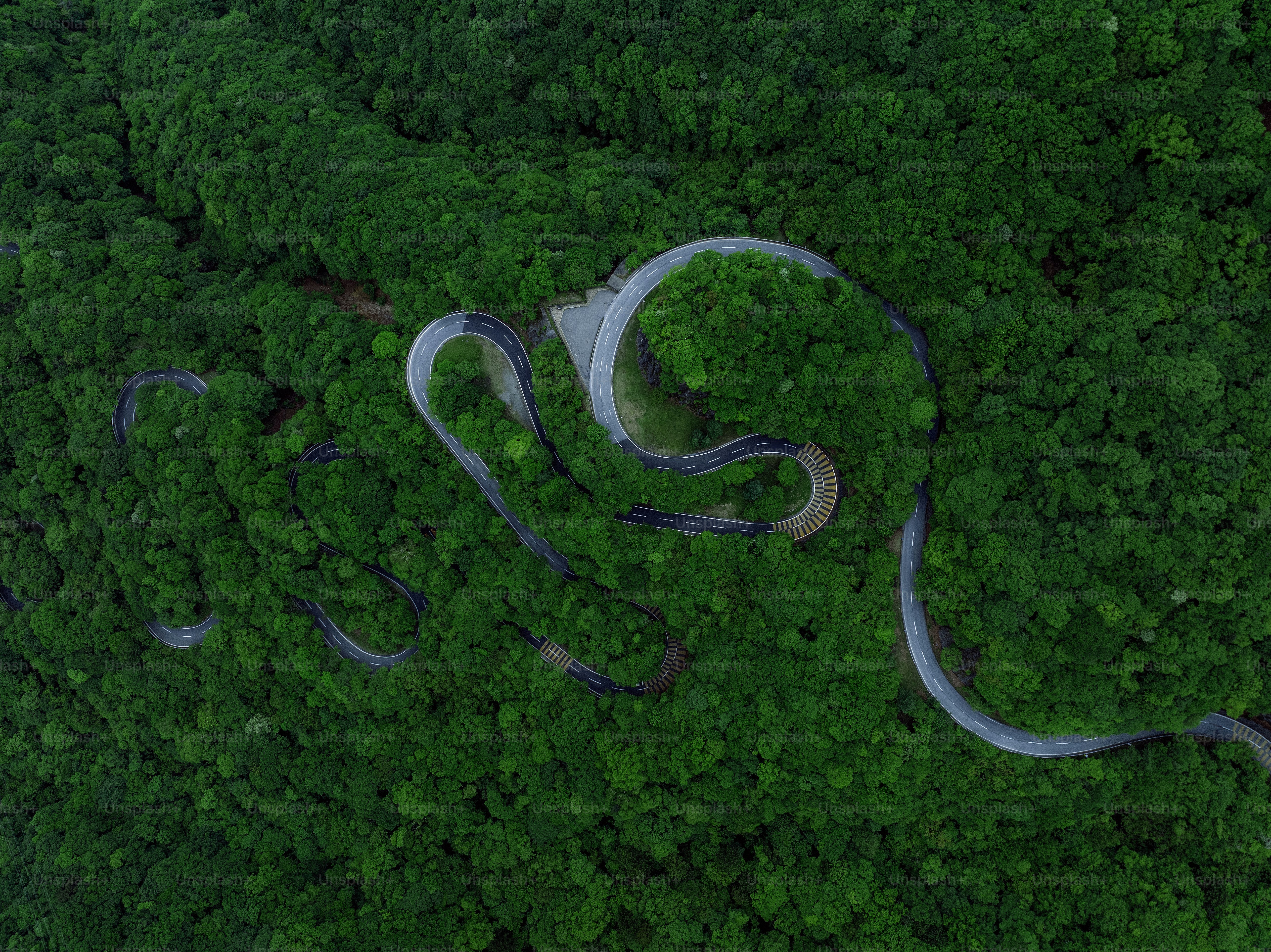 A winding road snakes through lush green trees.