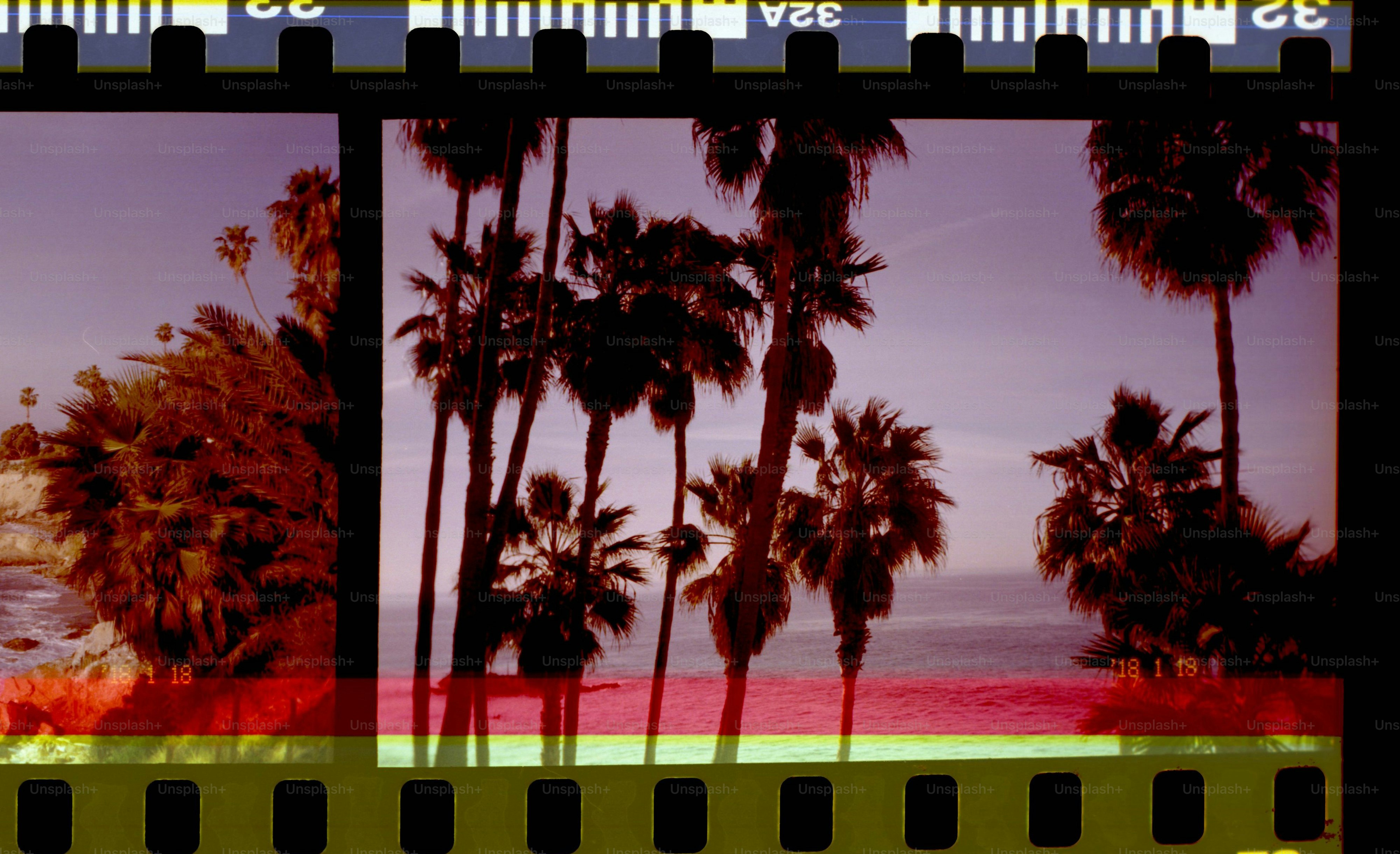 Palm trees are silhouetted on a sunset.