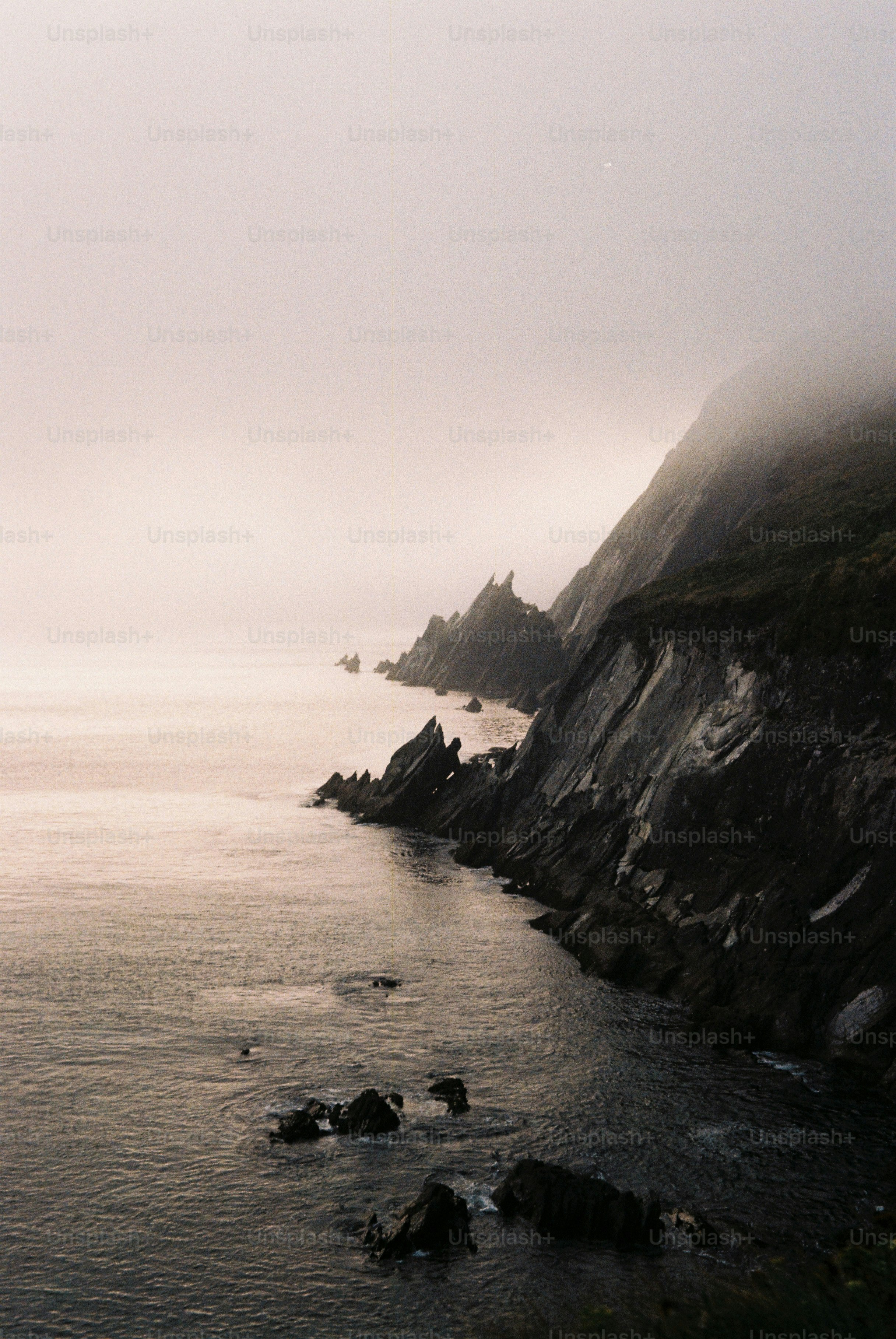Mist shrouds a rugged coastline.