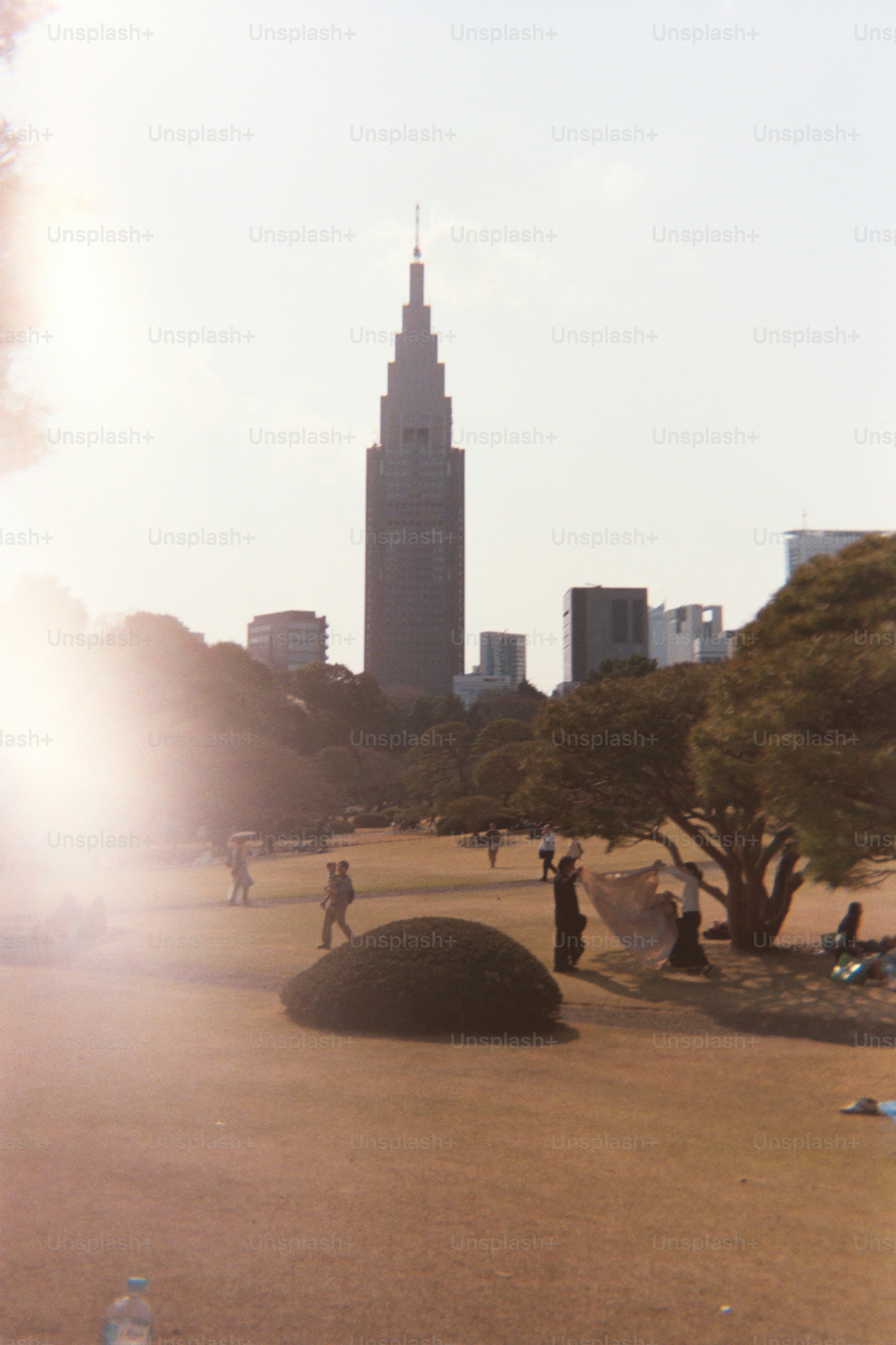 遠くに高層ビルが立ち並ぶ公園を人々は楽しんでいます。