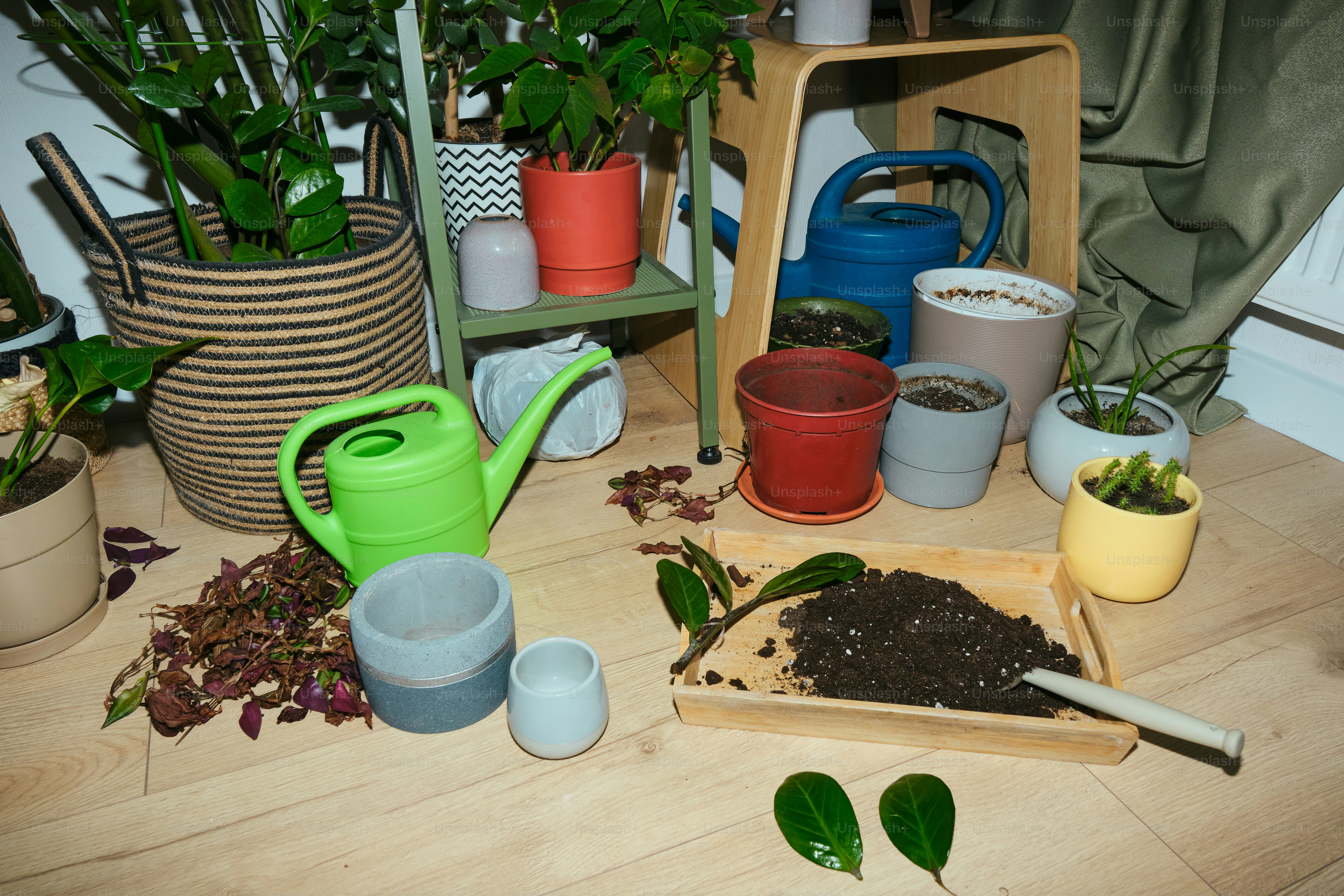 Conceptual shot of a thoughtfully composed artistic mess.