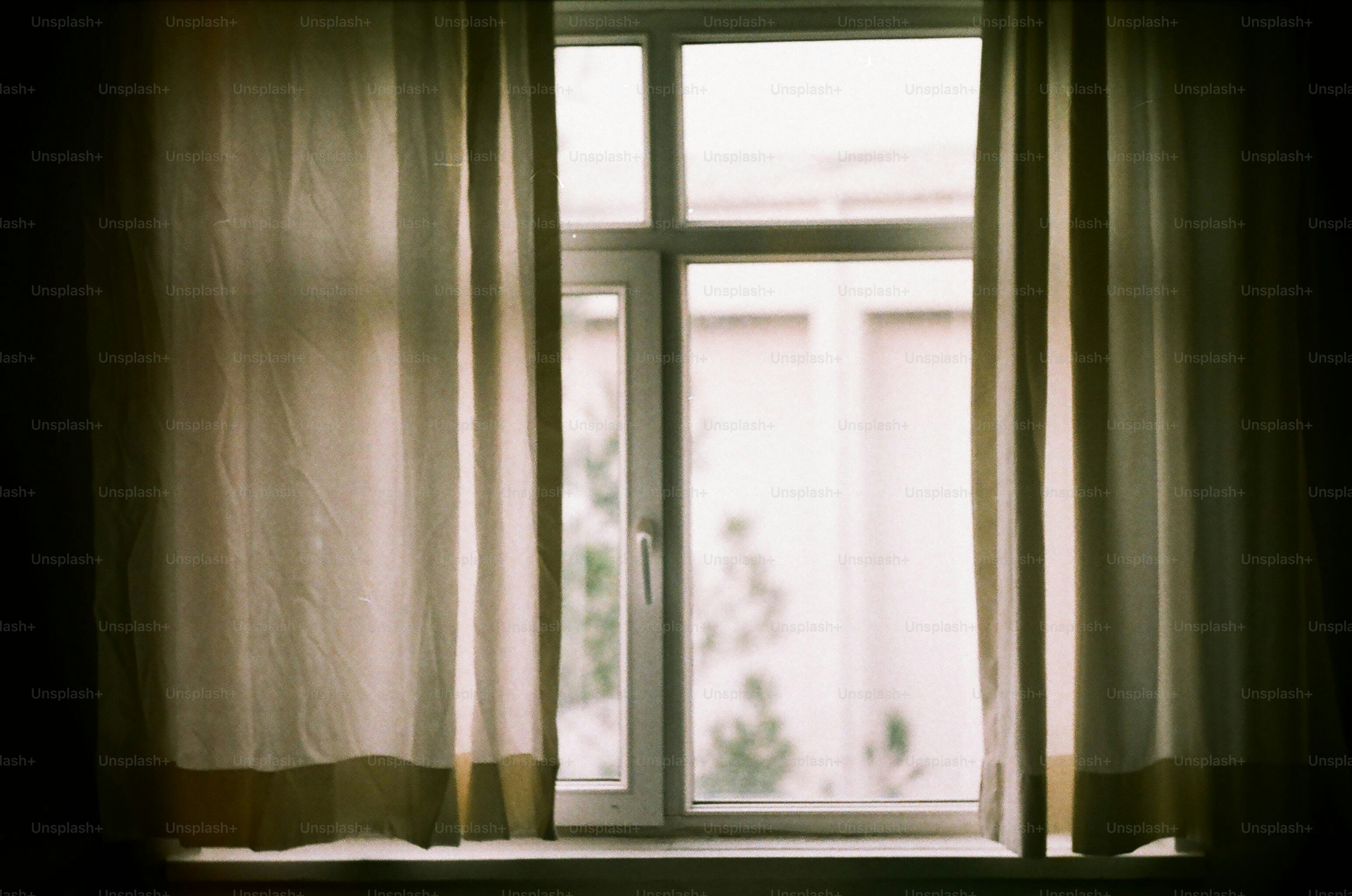 A window framed by curtains and a glimpse outside.