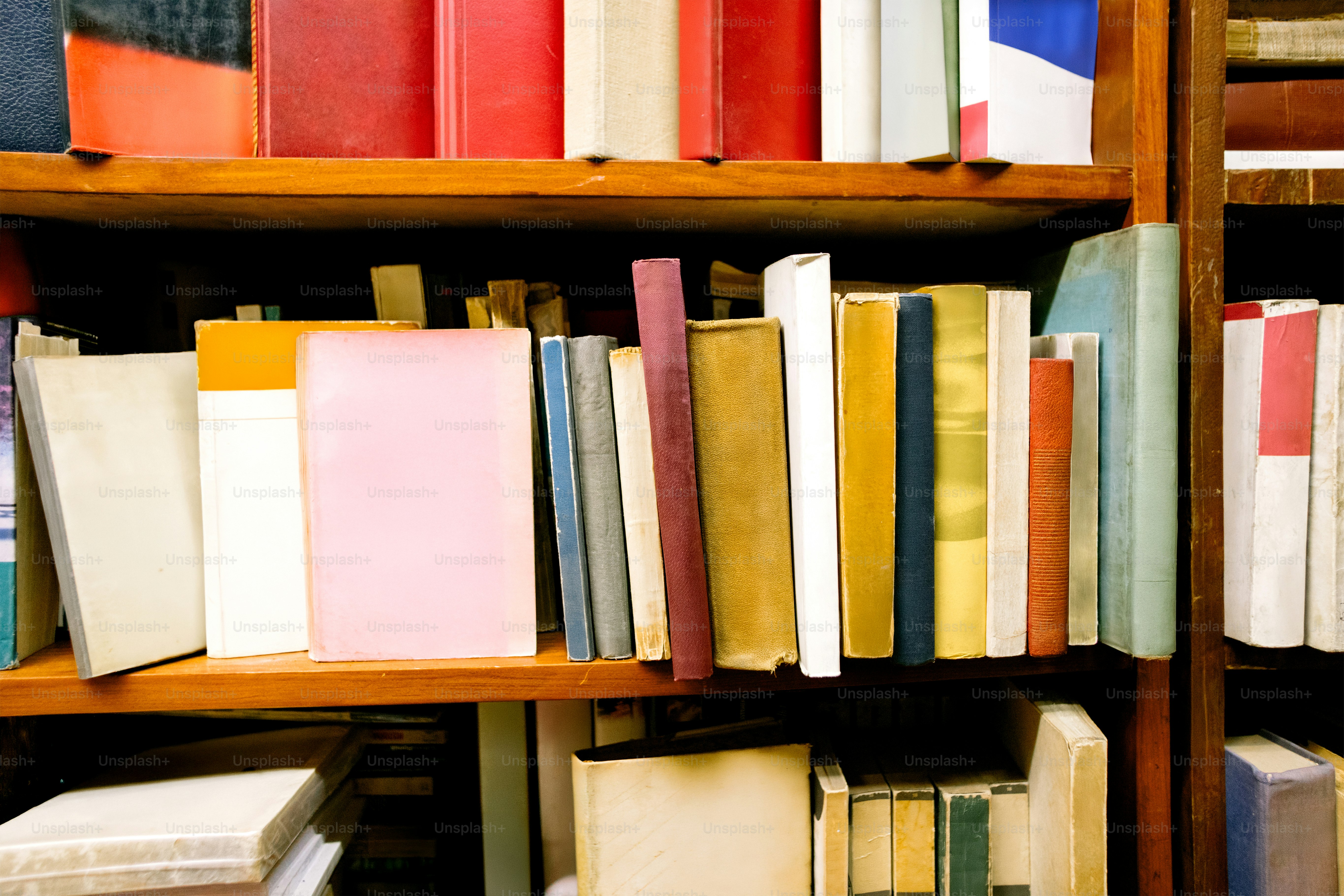 Libros cuidadosamente dispuestos en una estantería de madera.