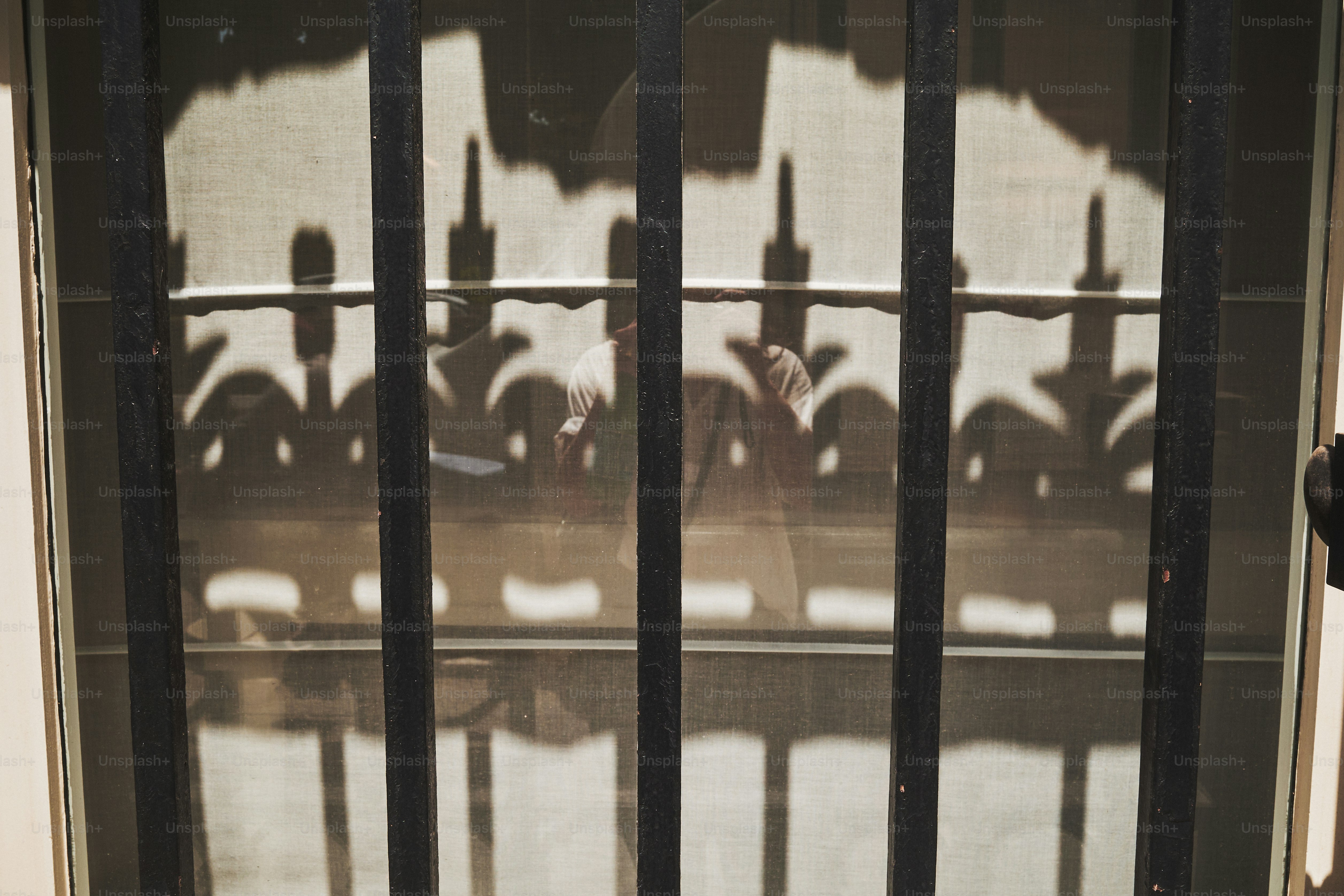 Ombres d’une clôture et feuillages sur le verre.