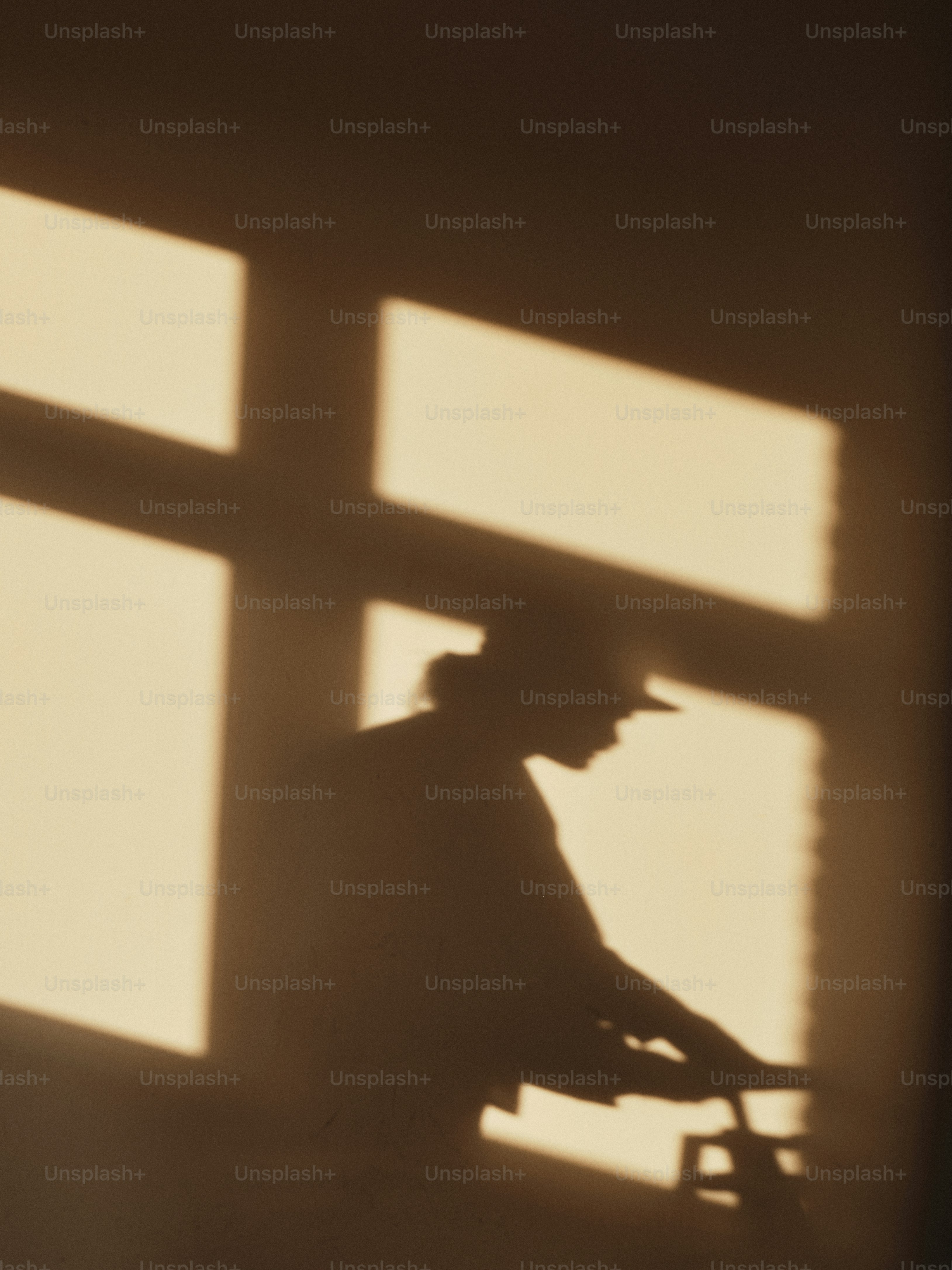 A person's shadow is cast by a window. photo – Interior design Image on ...