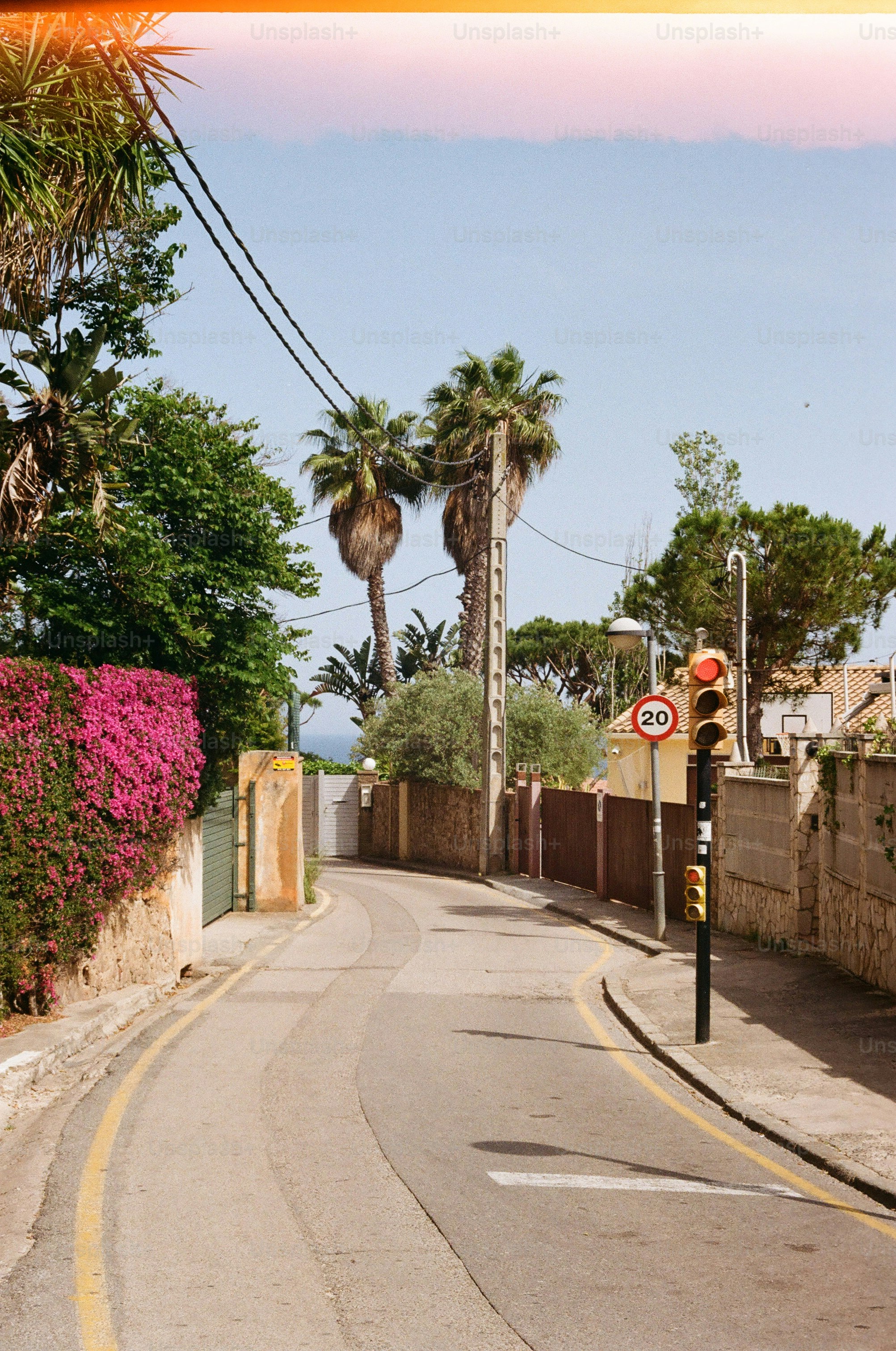 Curving road with palm trees and a stoplight.