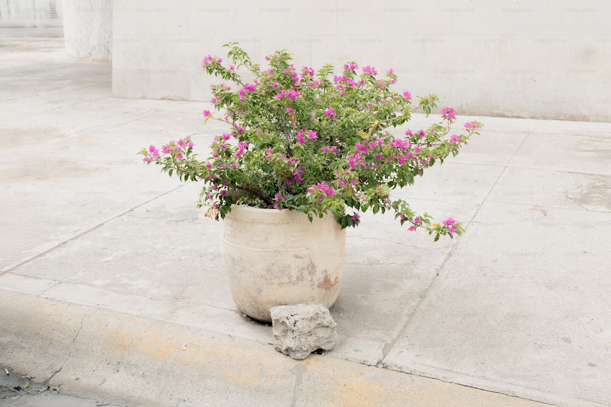 La gente quiere que te vaya bien… pero no mejor que a ellos