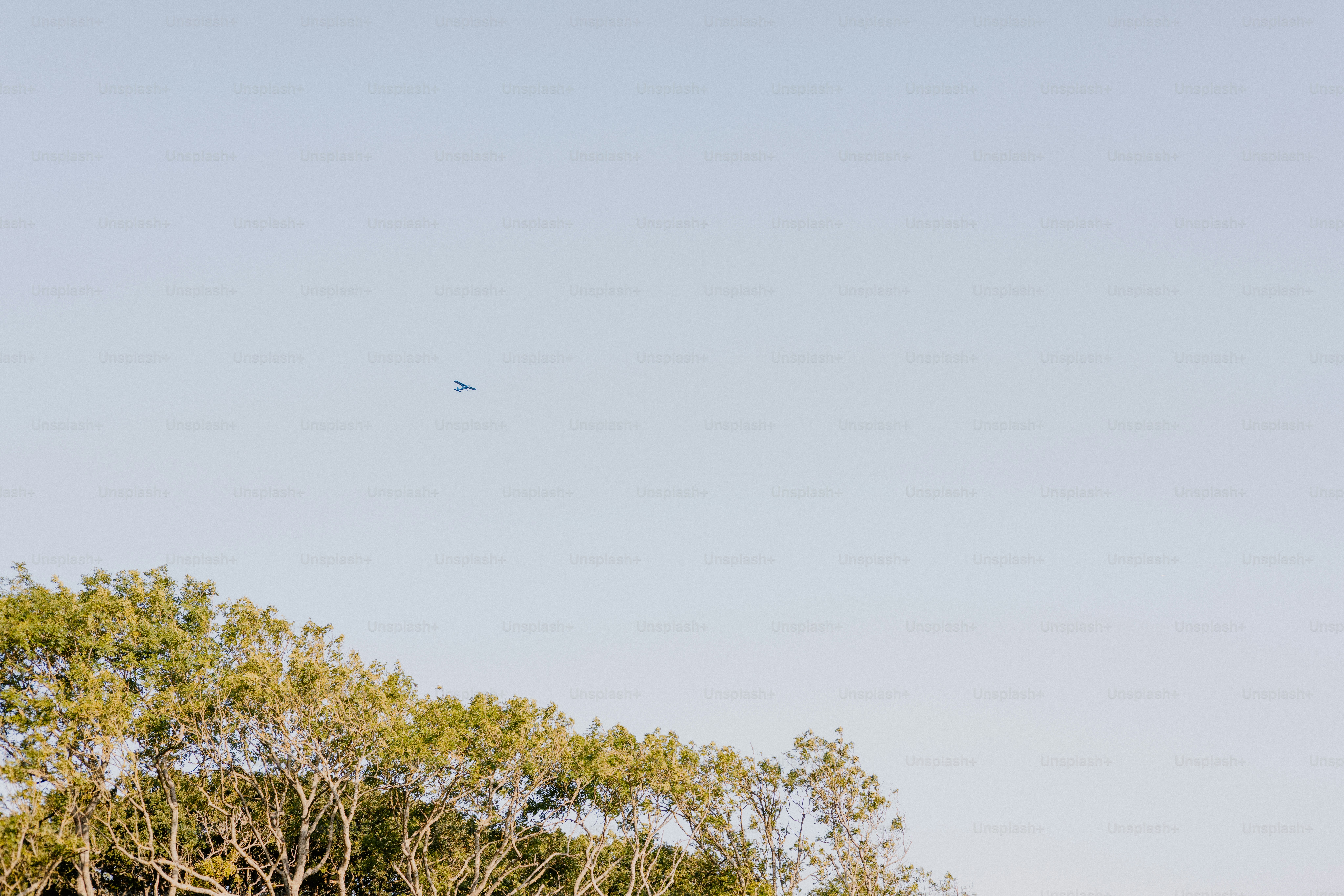 A small airplane flies high above trees.