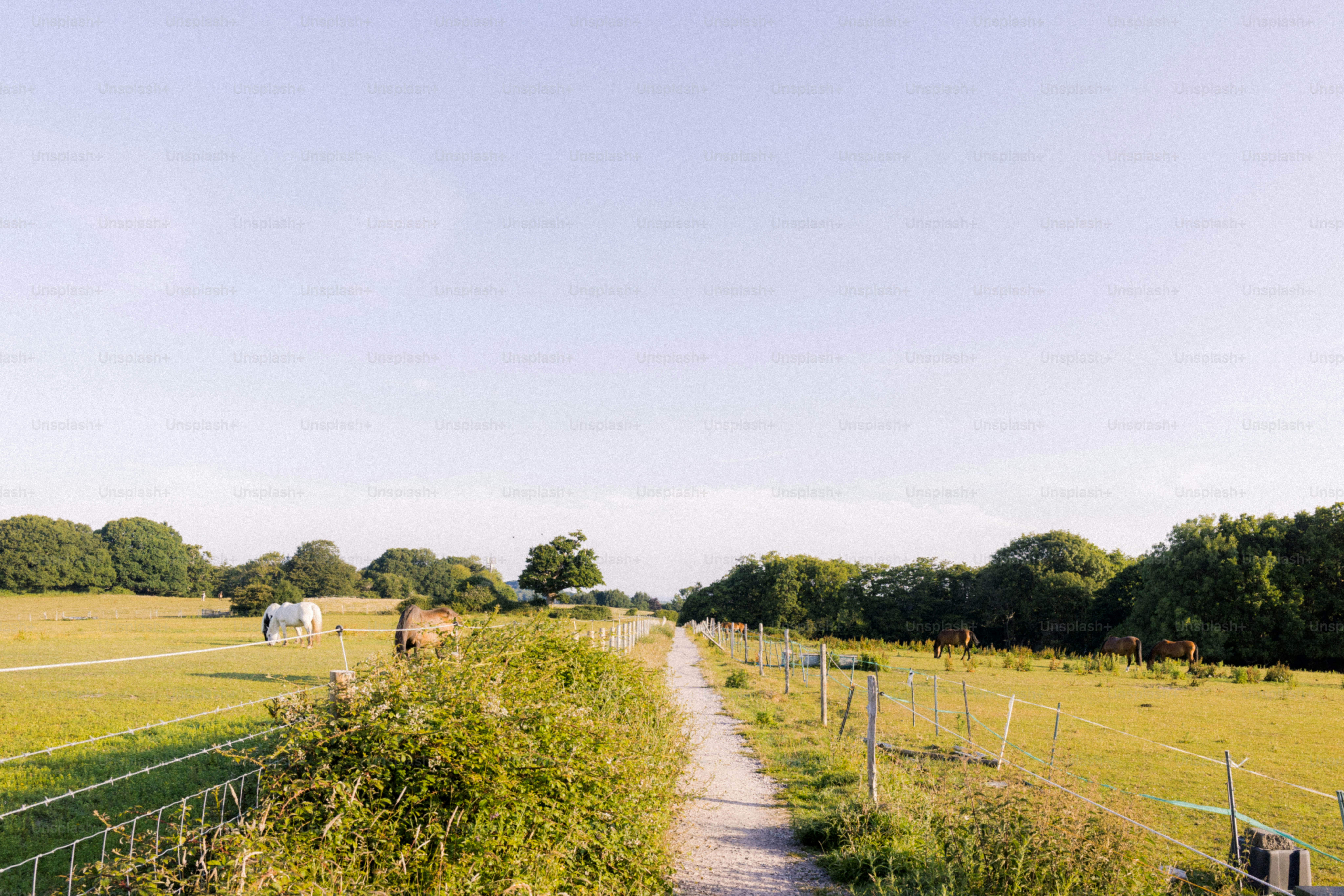 A grassy path leads through fields under a blue sky.