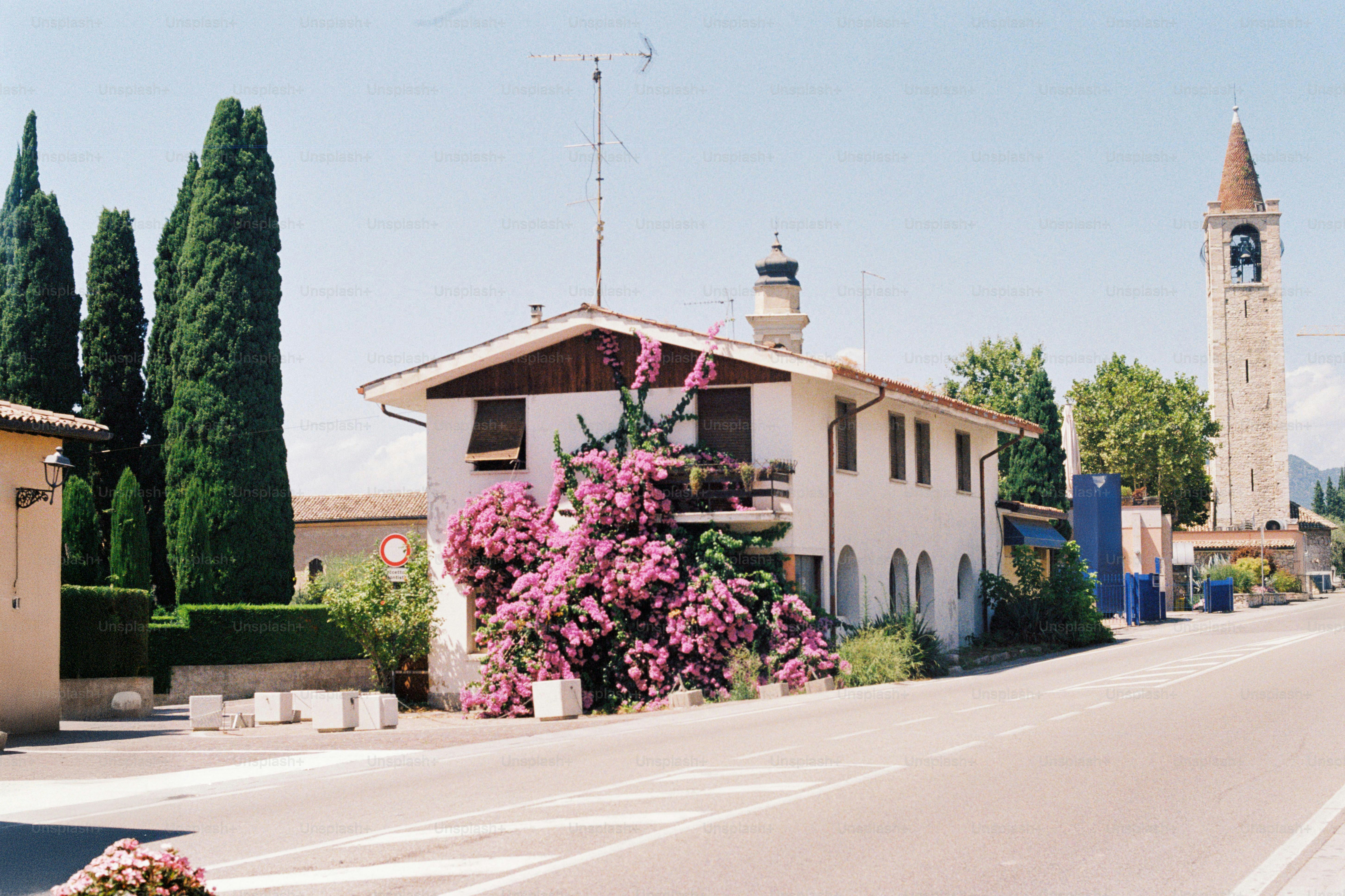 A house with purple flowers and a church tower.