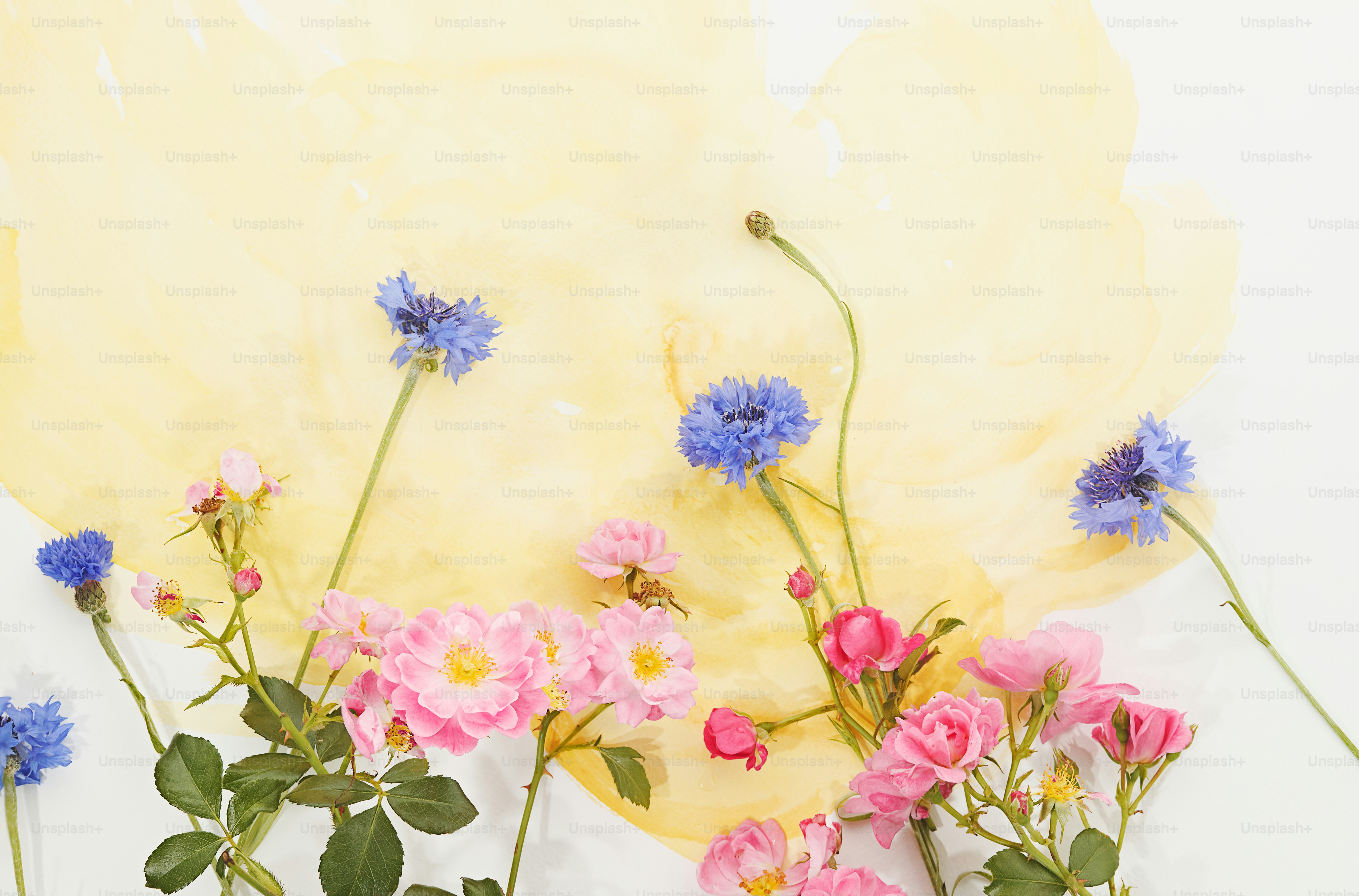 Flowers bloom vibrantly against a watercolor background.