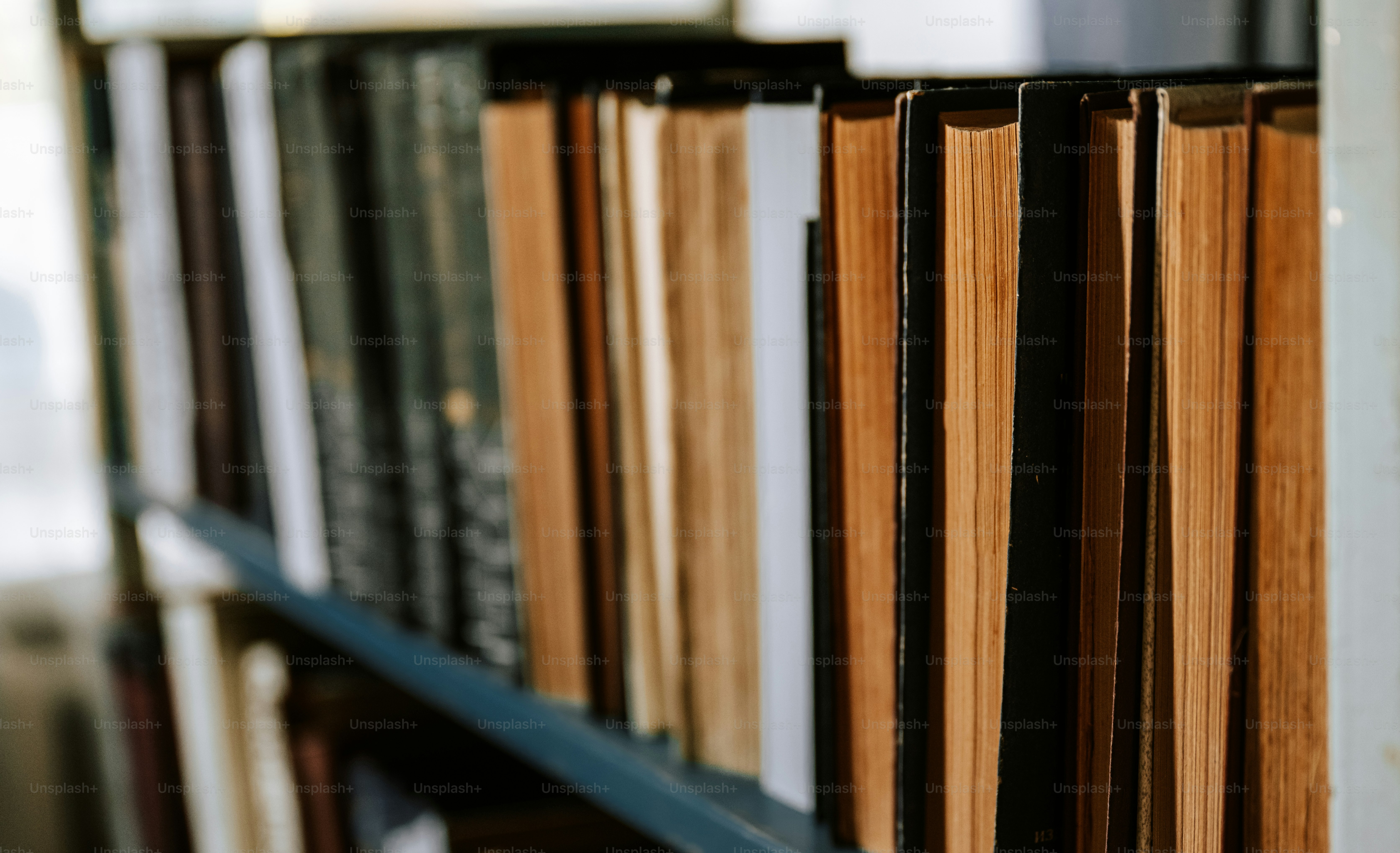 Books are lined up on a library shelf.